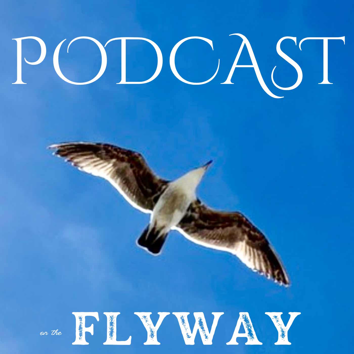 On the Flyway Podcast