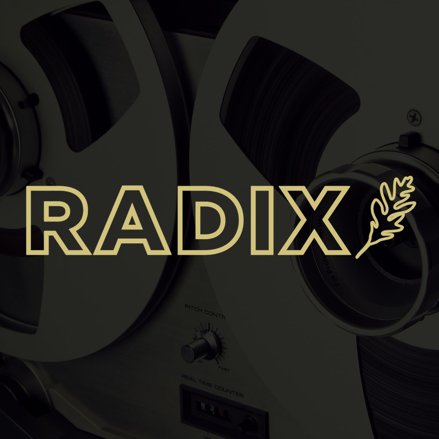 NeoCon Idealism vs. Trump's War In Iran