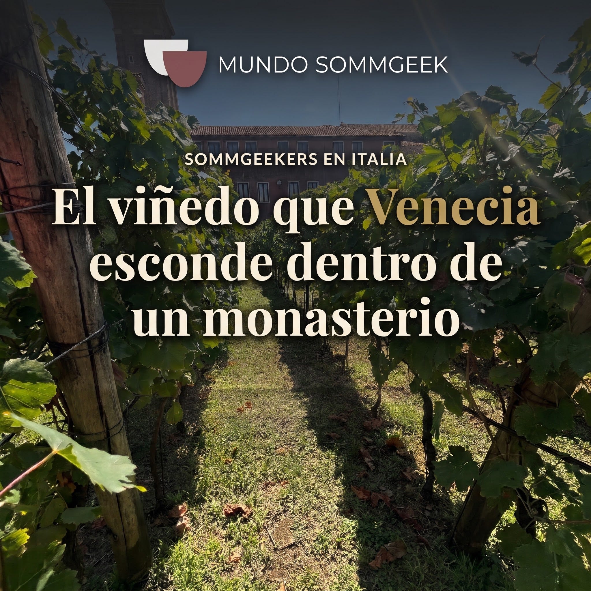 El viñedo que Venecia esconde dentro de un monasterio episode artwork