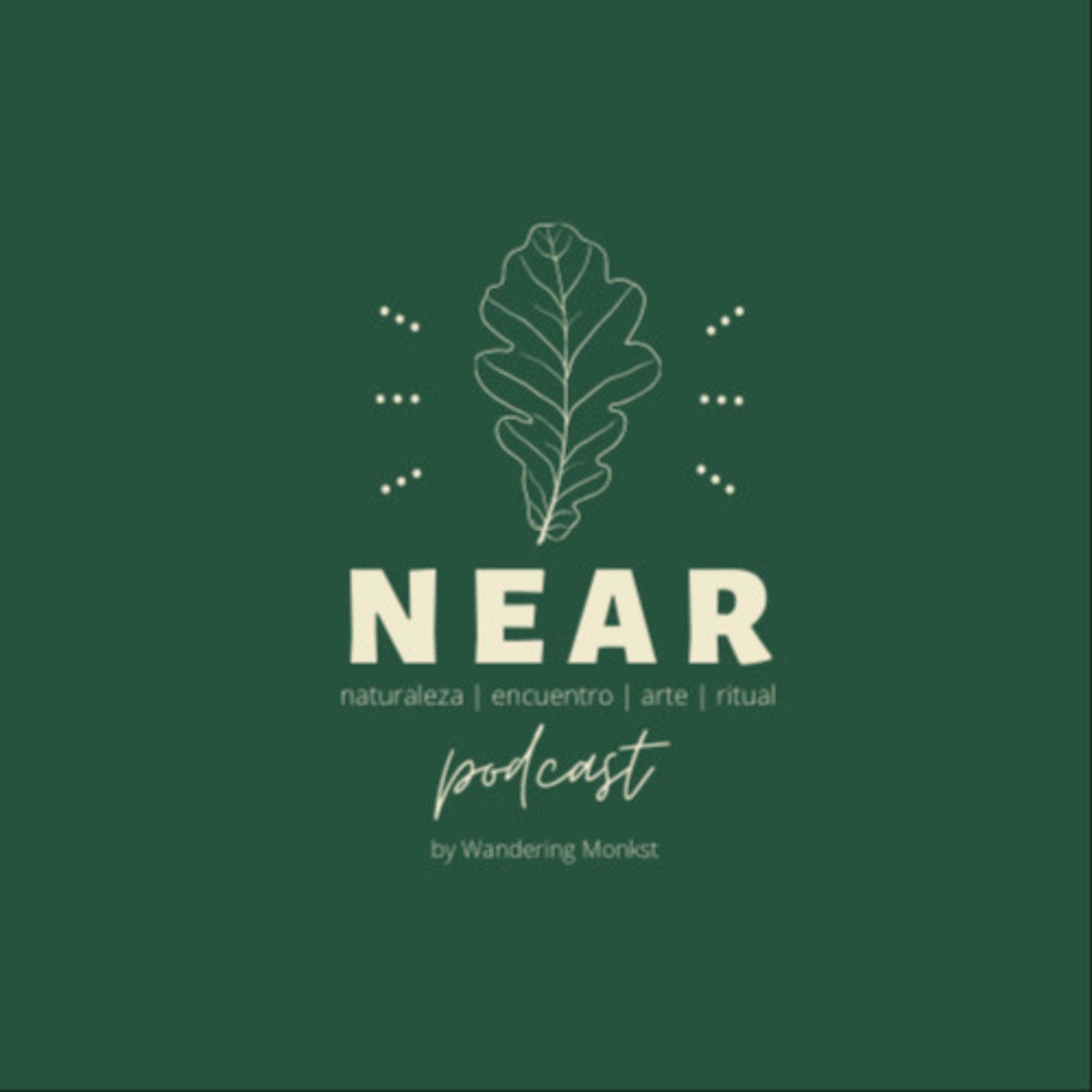 Portada de N.E.A.R.