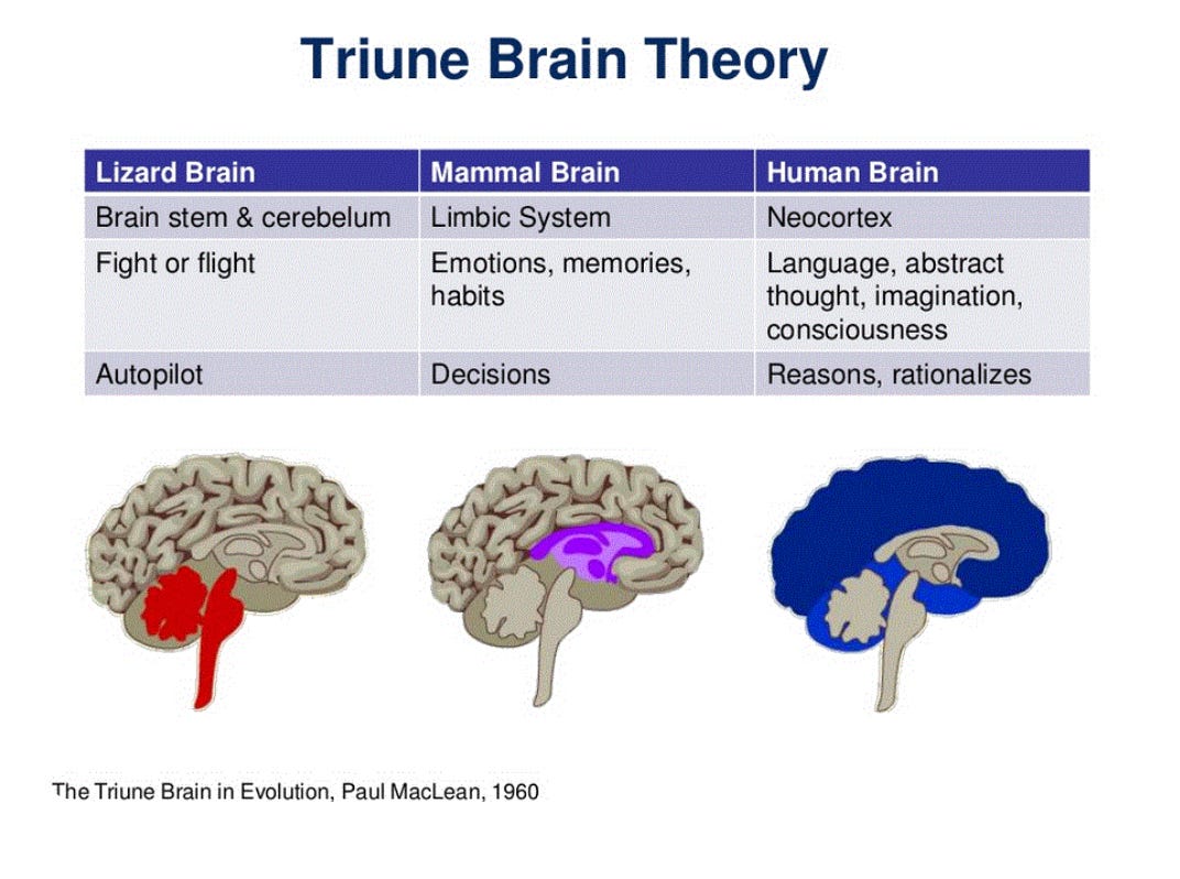 Intro to Men's Psychology