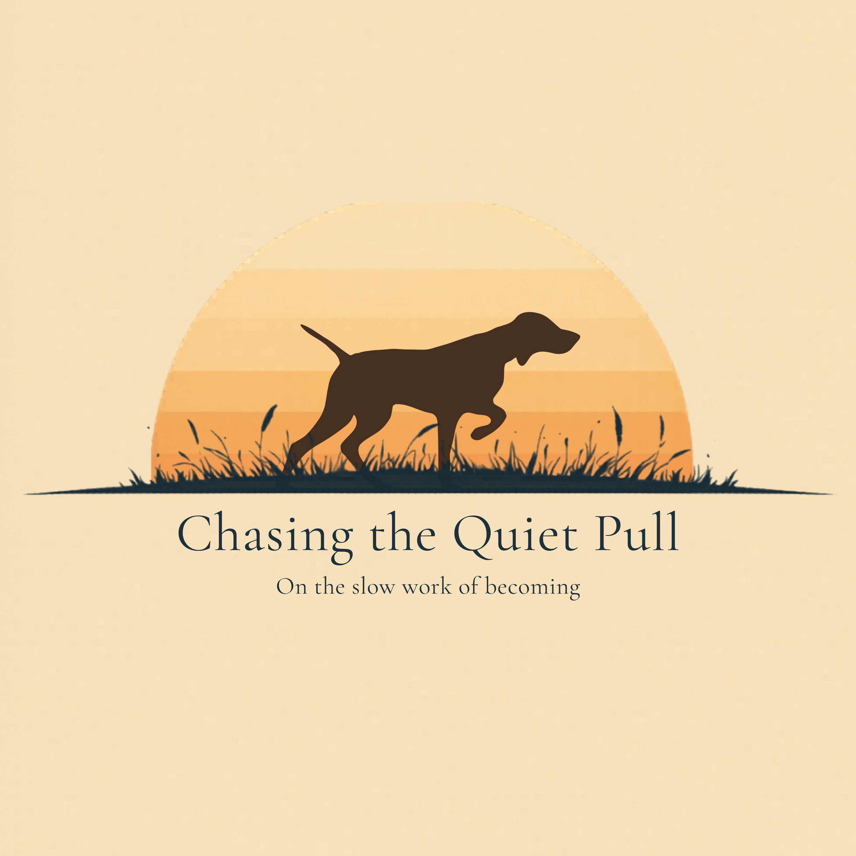 Chasing the Quiet Pull cover art