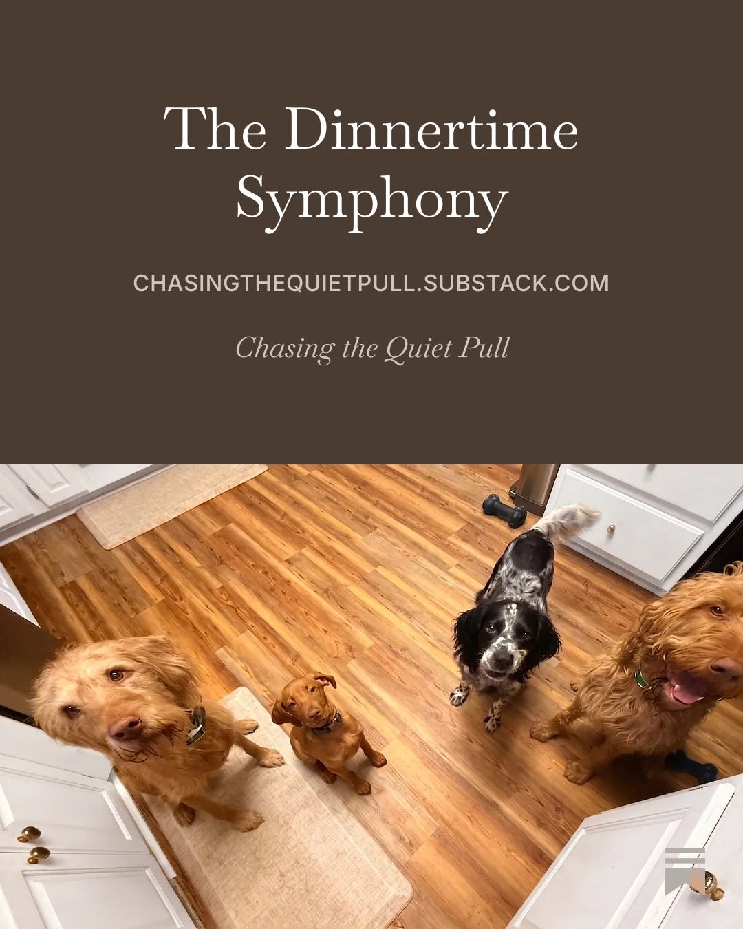 Episode 2: The Dinnertime Symphony episode artwork