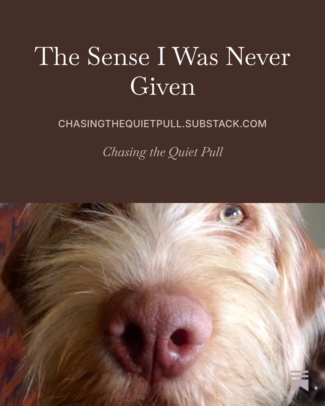 Episode 5: The Sense I Was Never Given episode artwork