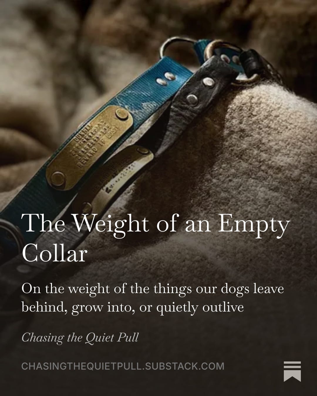 Episode 10: The Weight of an Empty Collar episode artwork