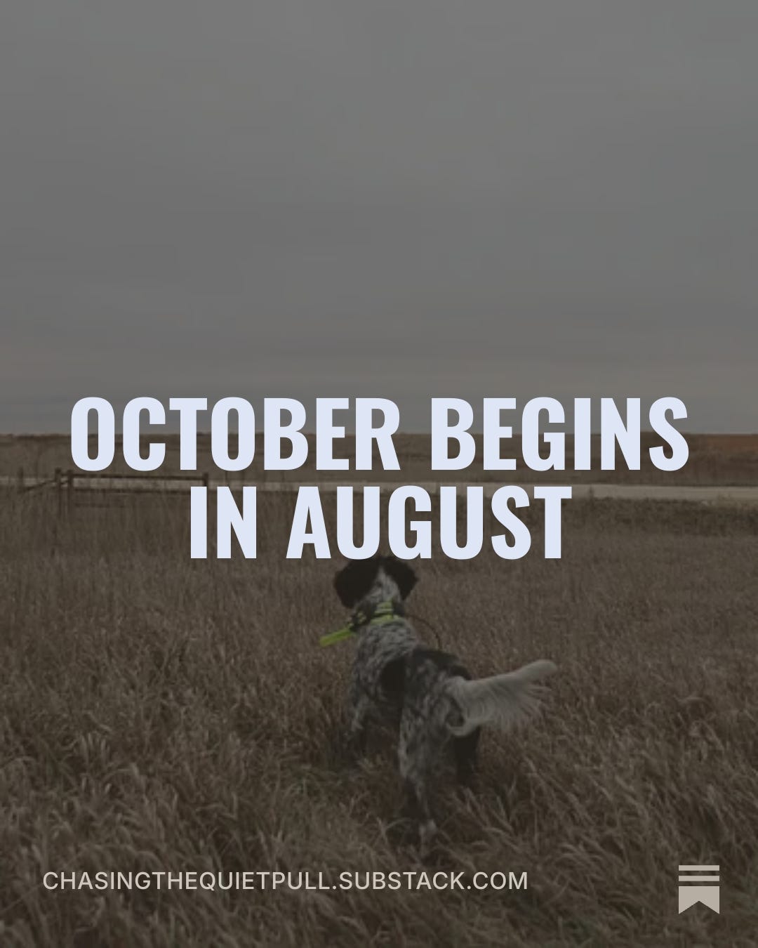 Episode 11: October Begins in August episode artwork