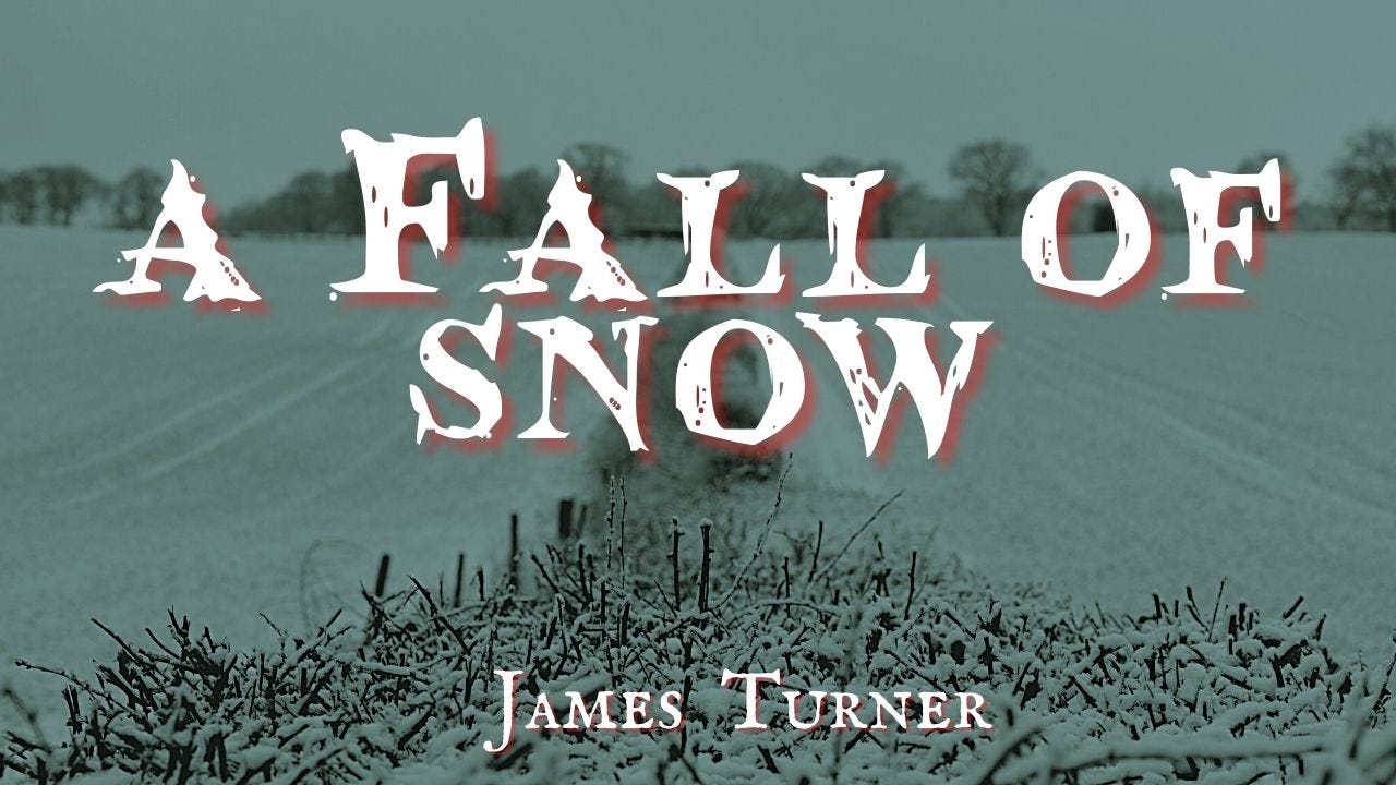 A Fall of Snow