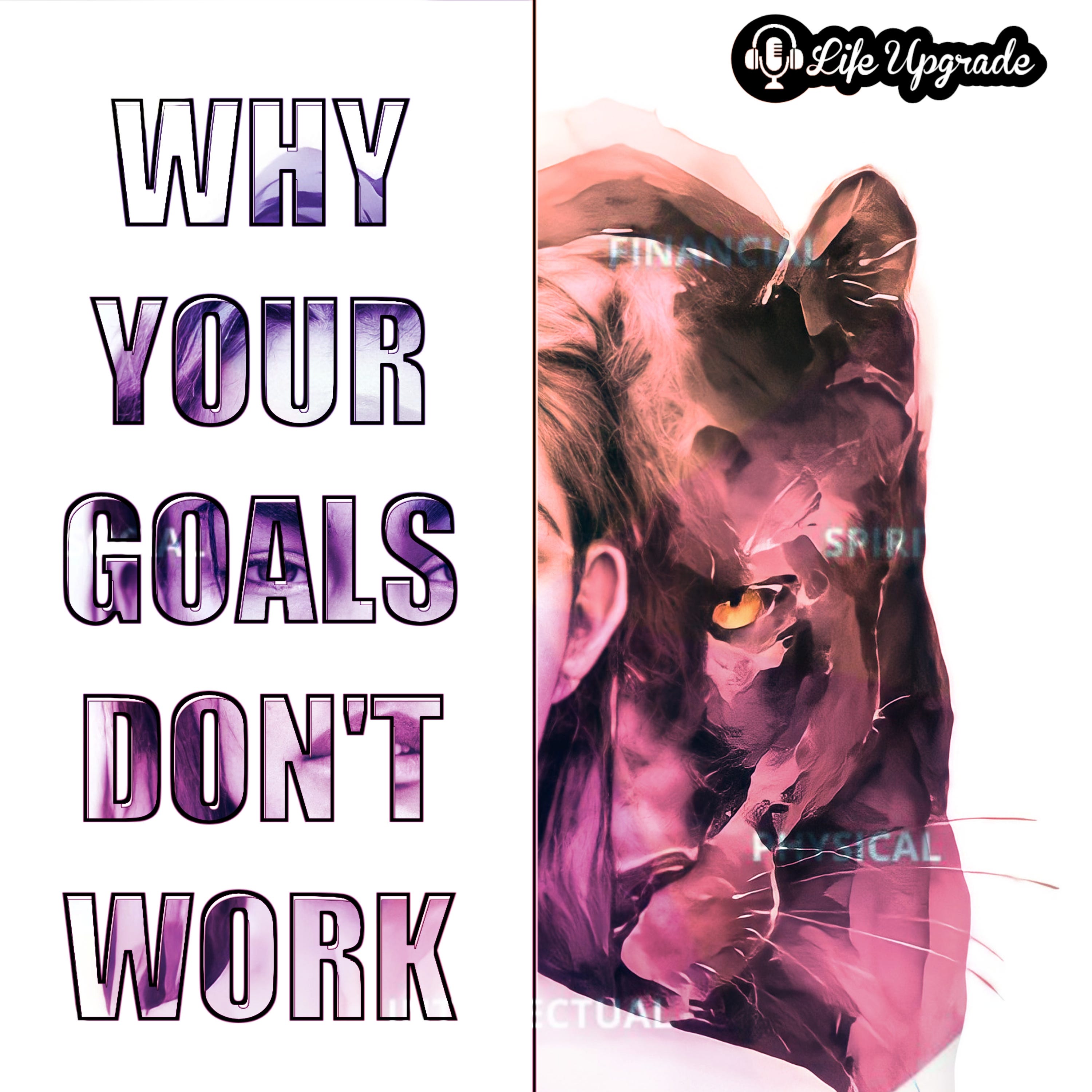 Why Goal Setting Isn't Working For You And How To Fix It episode artwork