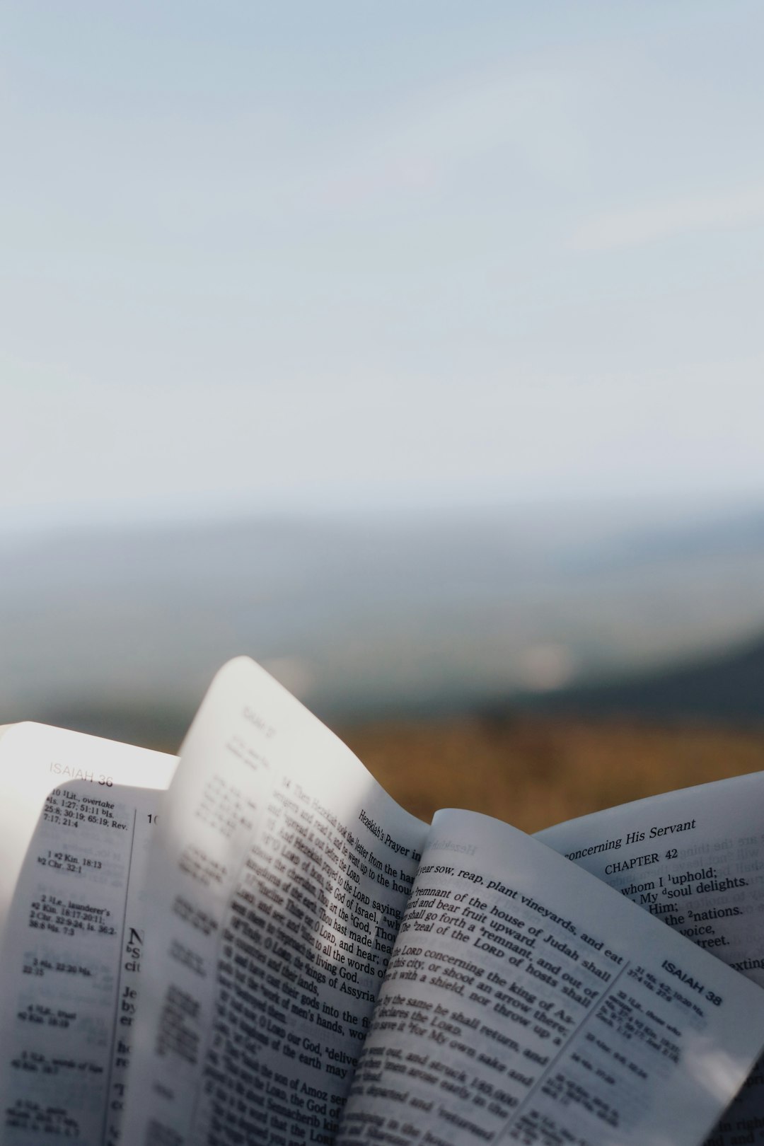 Steadfast in the Work of the Lord episode artwork