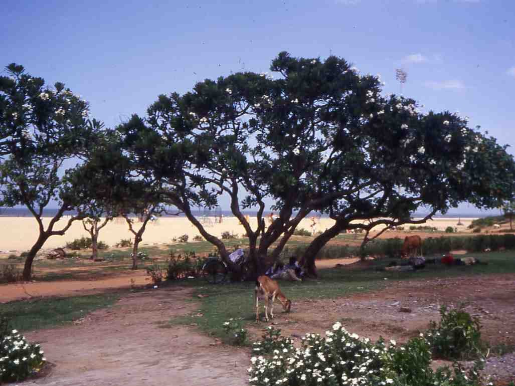 Outtakes and Fresh Starts Podcast