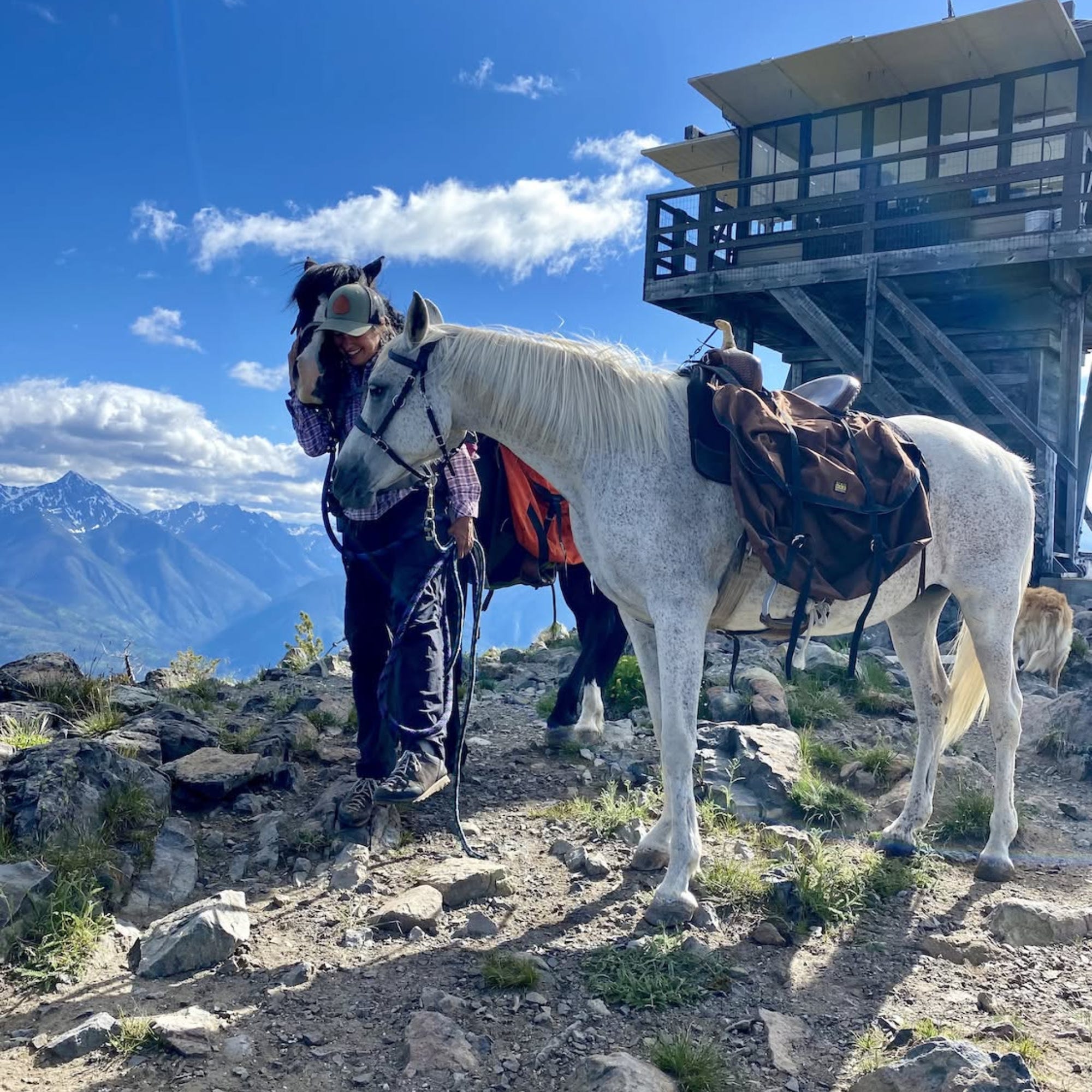 Fire Lookout Friday: Horses, Fire Lookouts, and Potato Chips episode artwork