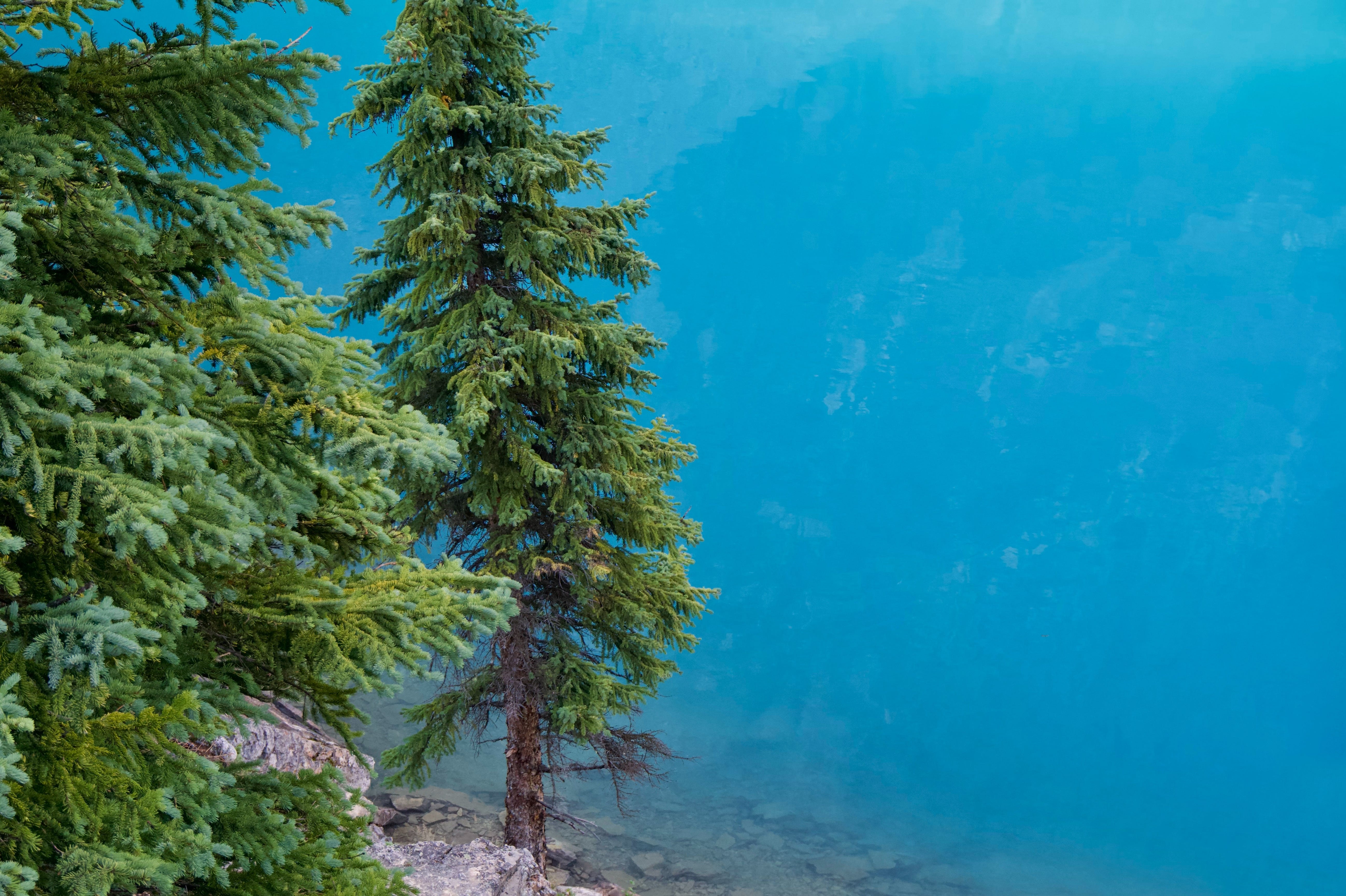 எங்கேயோ கேட்ட கதை!-1