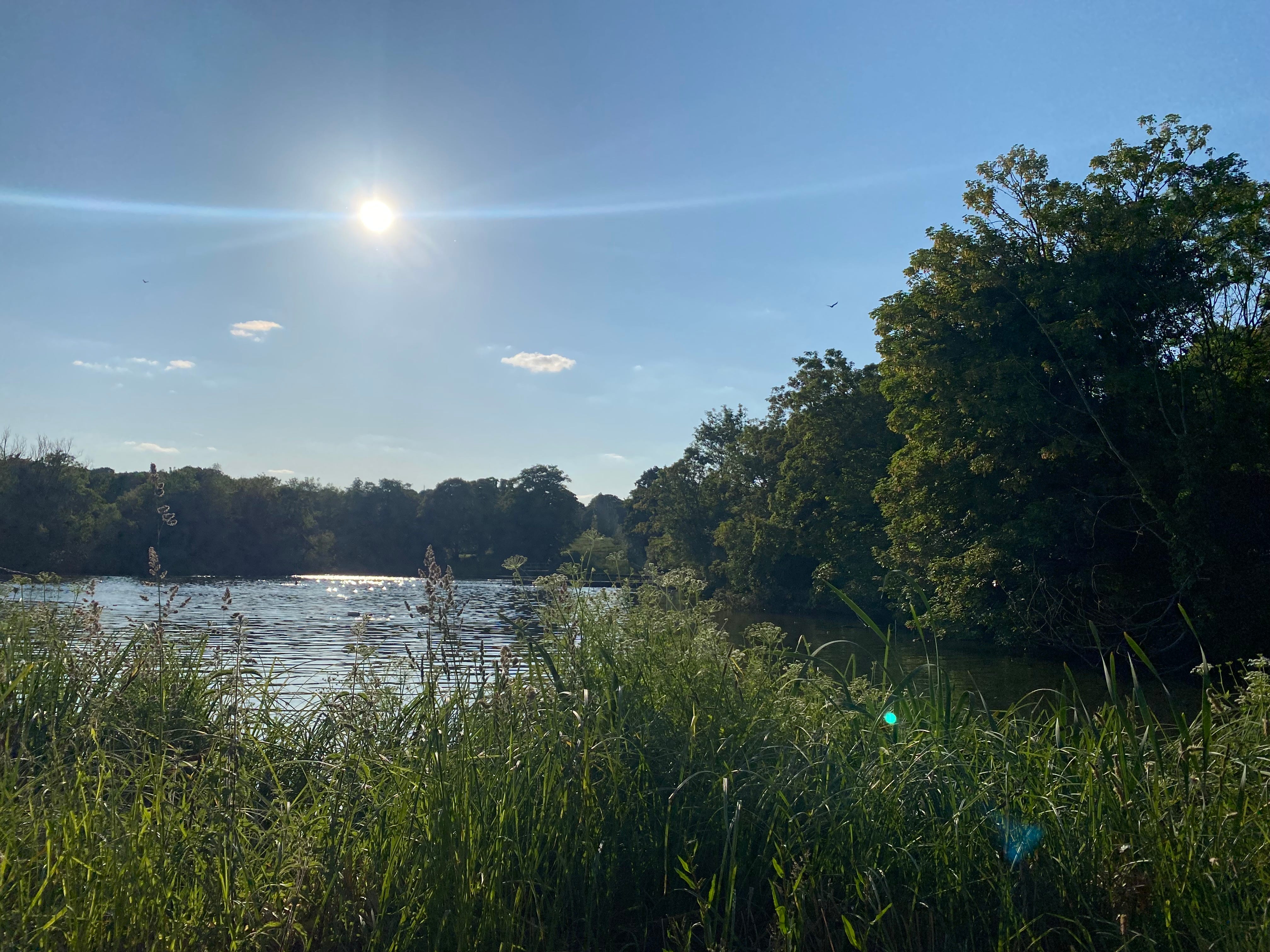 லண்டனில் நான்-4