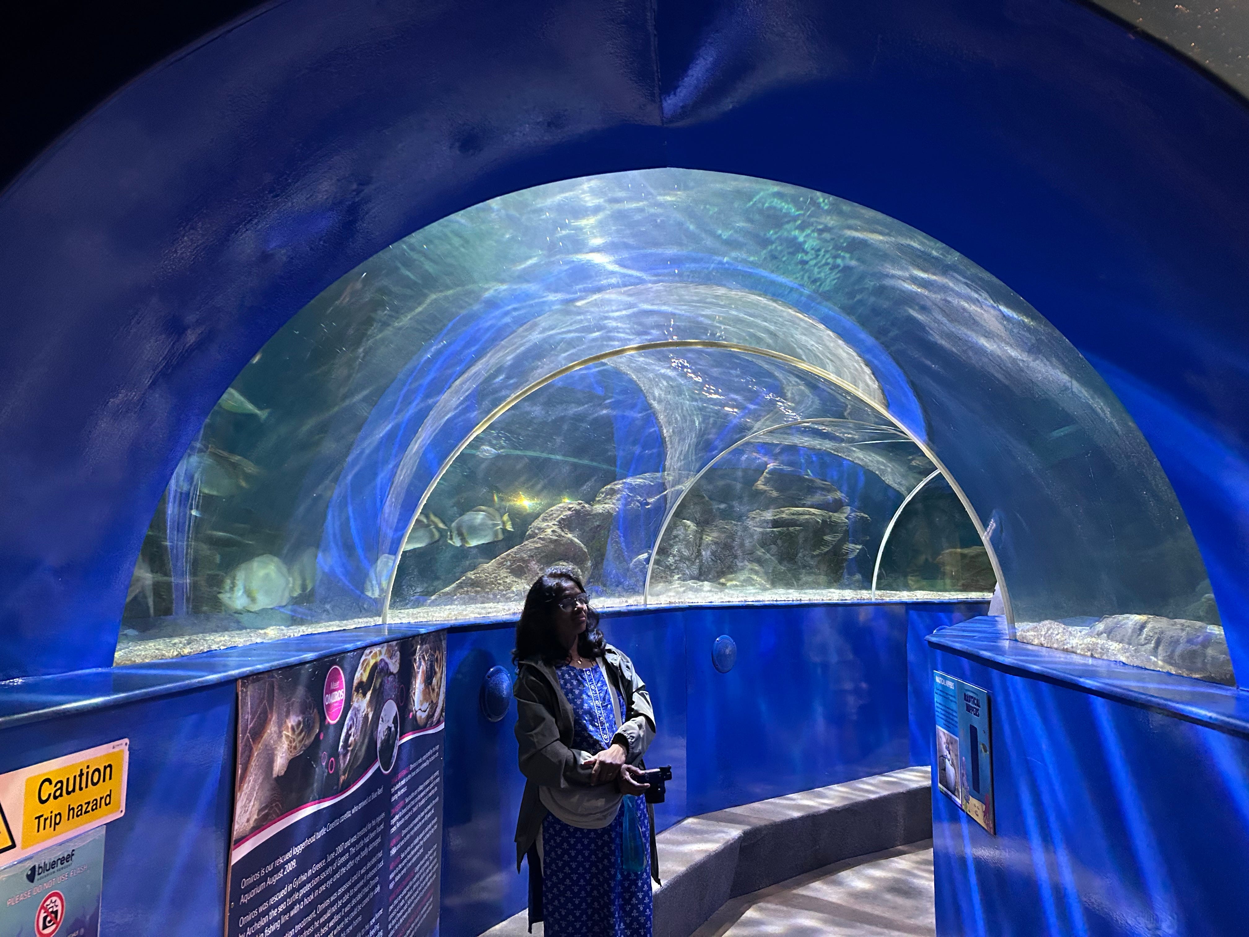 ப்ளூ ரீப் அக்வேரியத்தின் அதிசயங்கள்