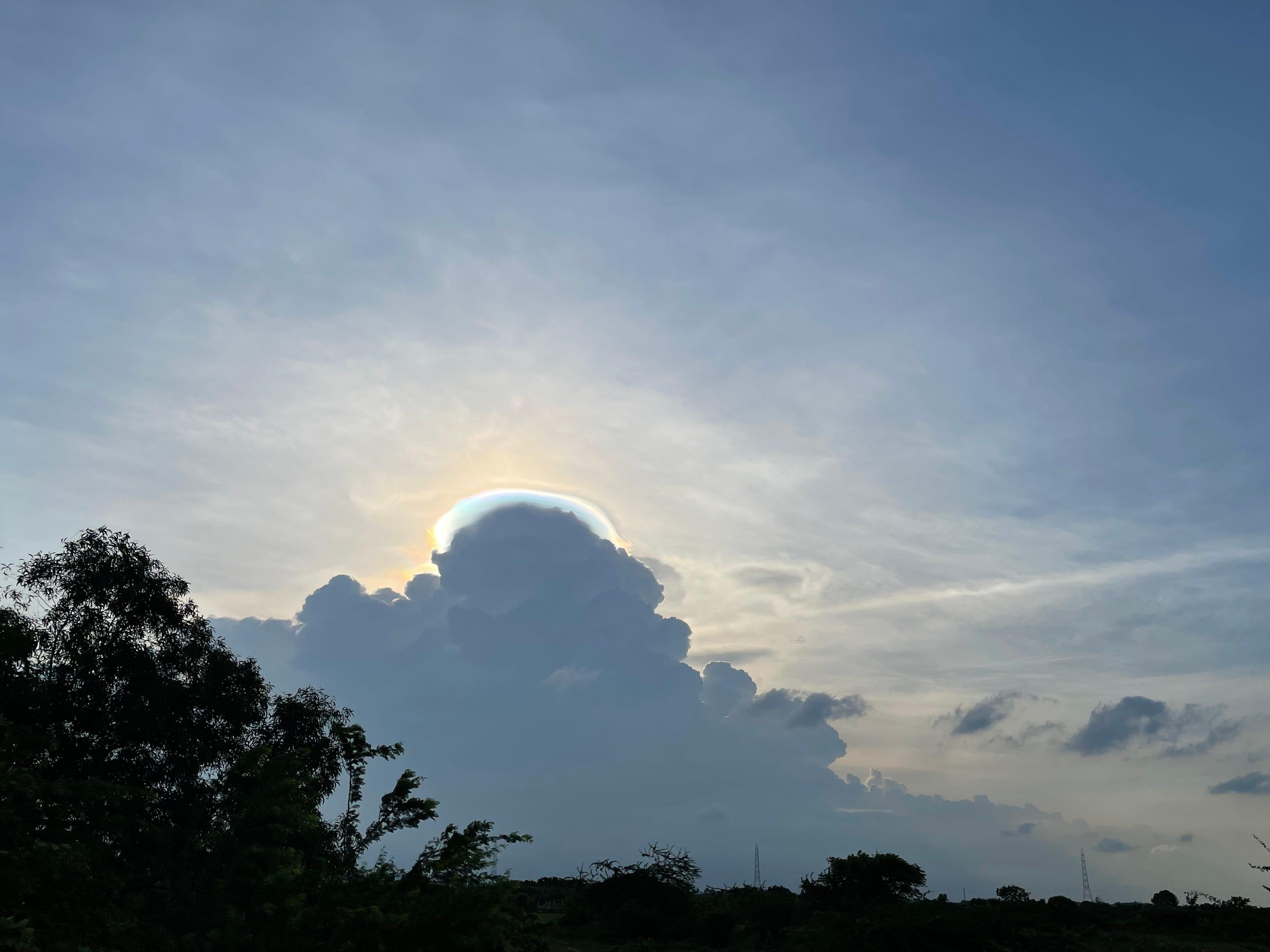 பள்ளியில் நான்-5