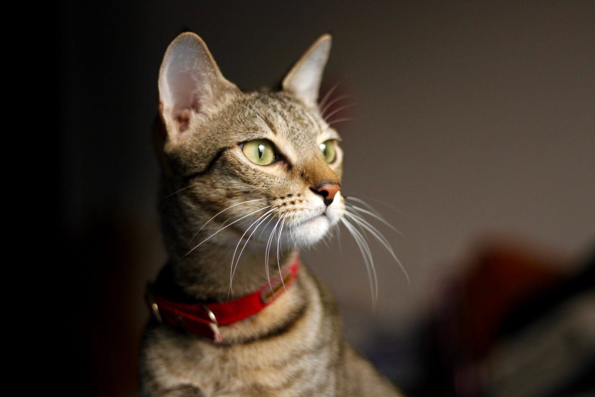 ஹலோ! ஒரு அஞ்சு நிமிஷம்.