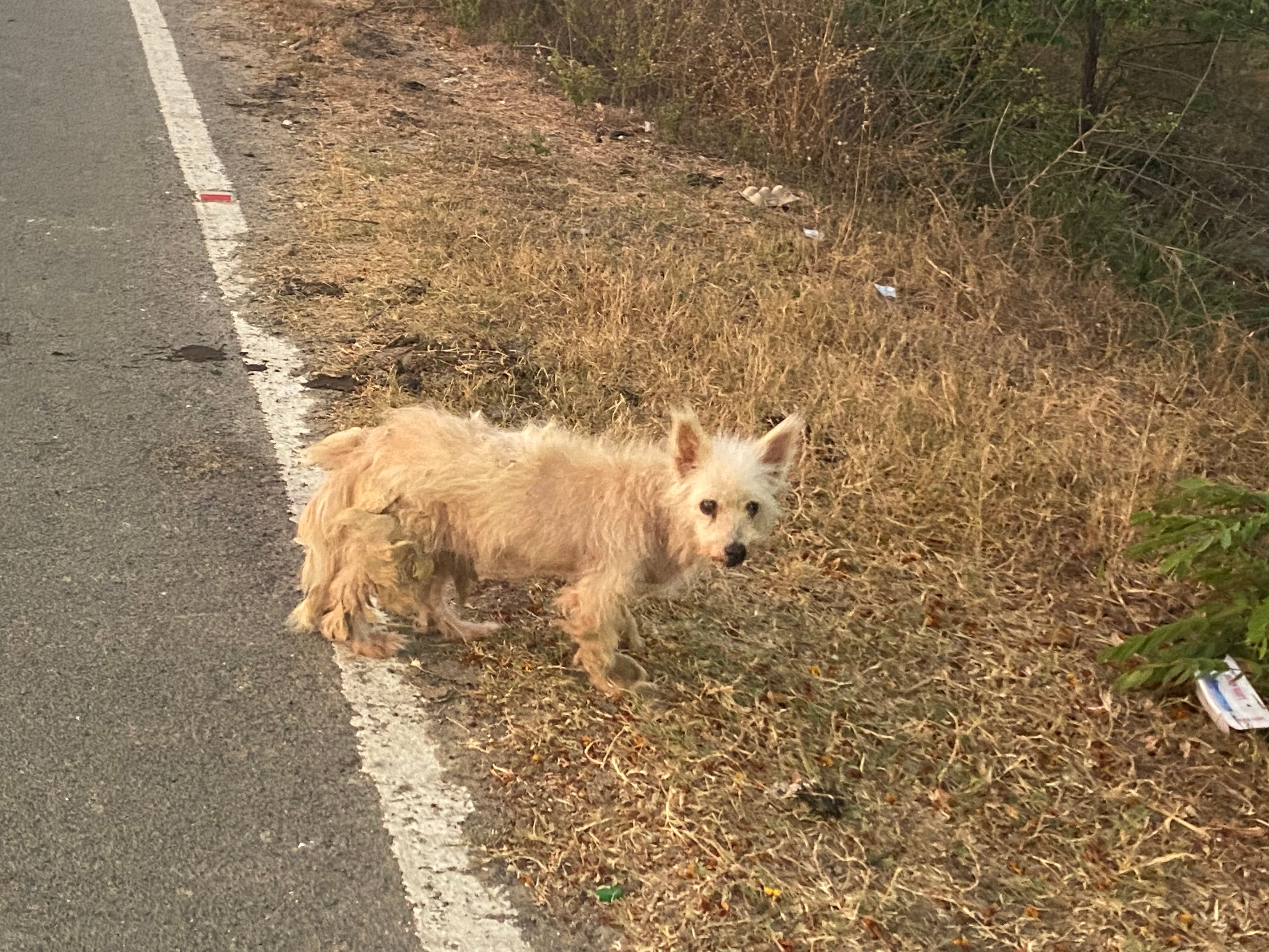 ஹலோ,ஒரு அஞ்சு நிமிஷம்…