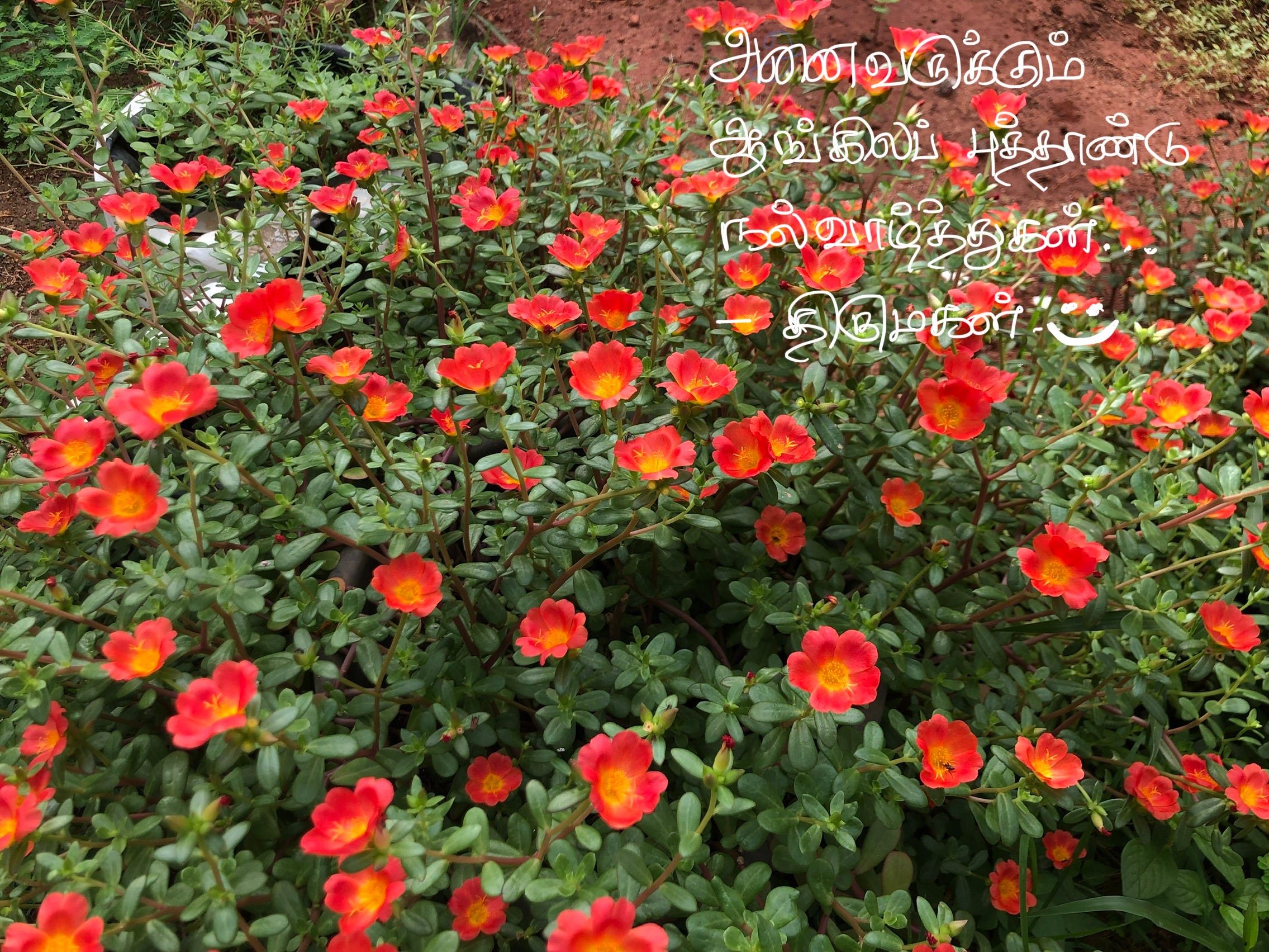 வா புத்தாண்டே!