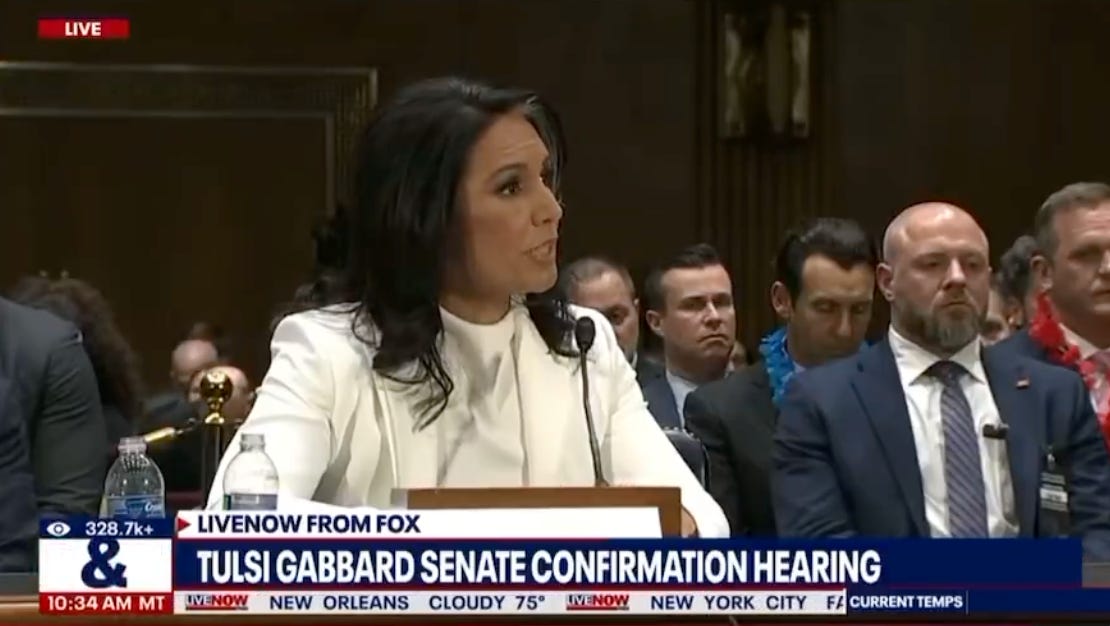 Tulsi Destroys Dems At Hearing