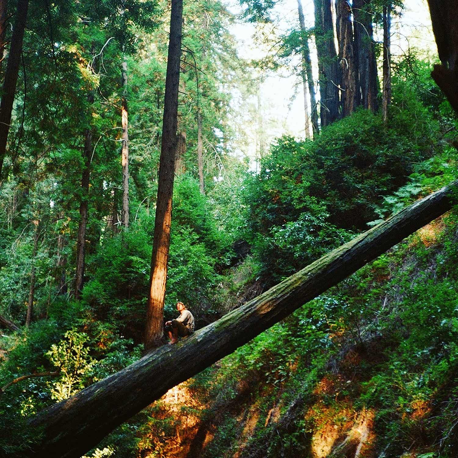 The Redwood Underground Podcast