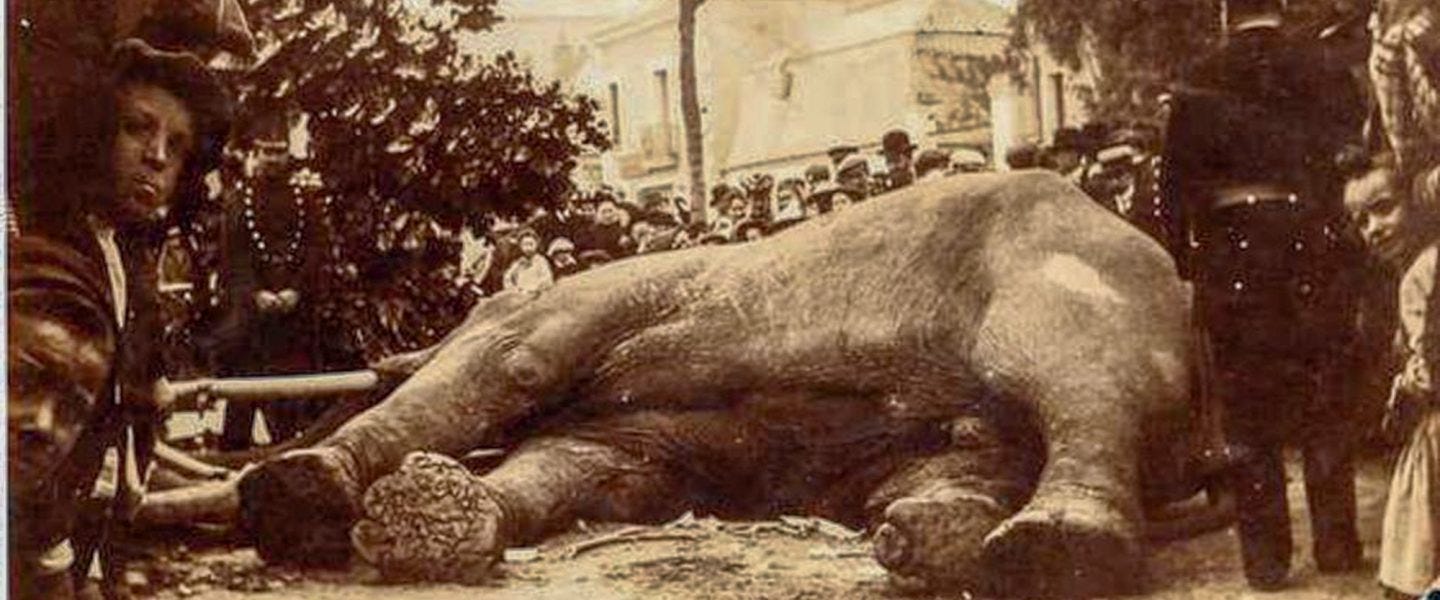 Unmasking the Elephant