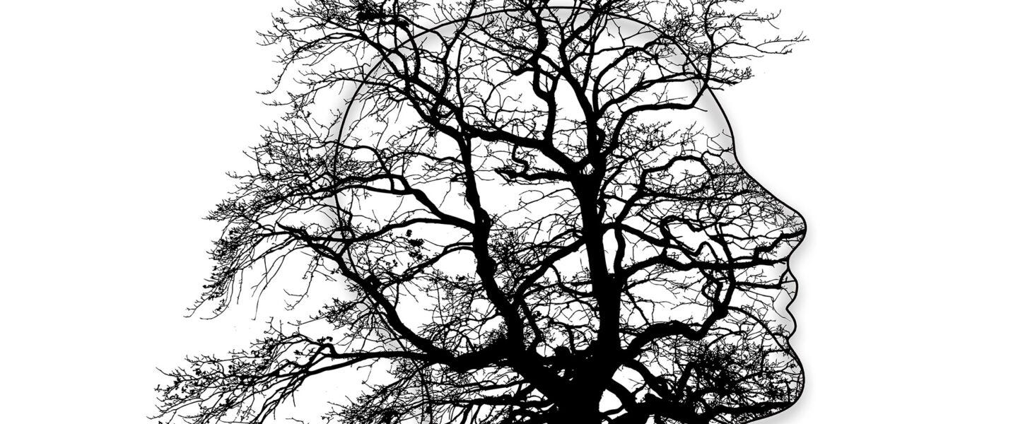 Rewiring Our Brains: The Alarming Neurological Consequences of Climate Change