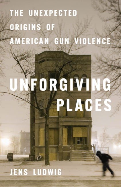 Rethinking Gun Violence: Beyond Politics to Human Behavior