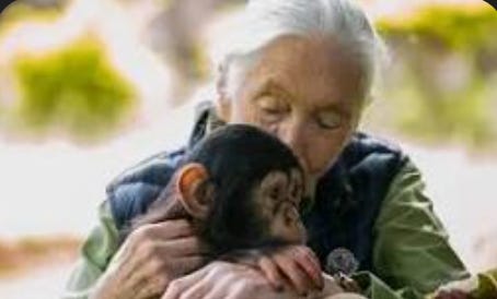 My 1998 Conversation with Jane Goodall