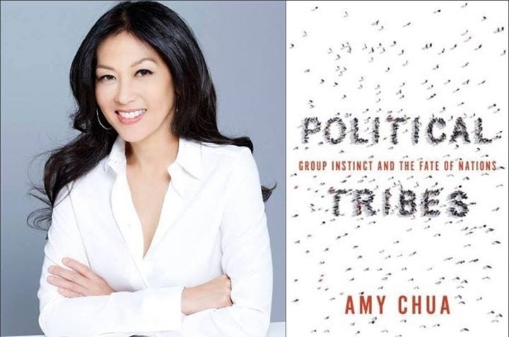 Political Tribes: A Conversation with Amy Chua episode artwork
