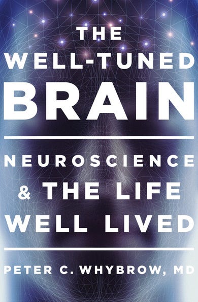Can a Well-Tuned Brain keep up with the modern world? episode artwork