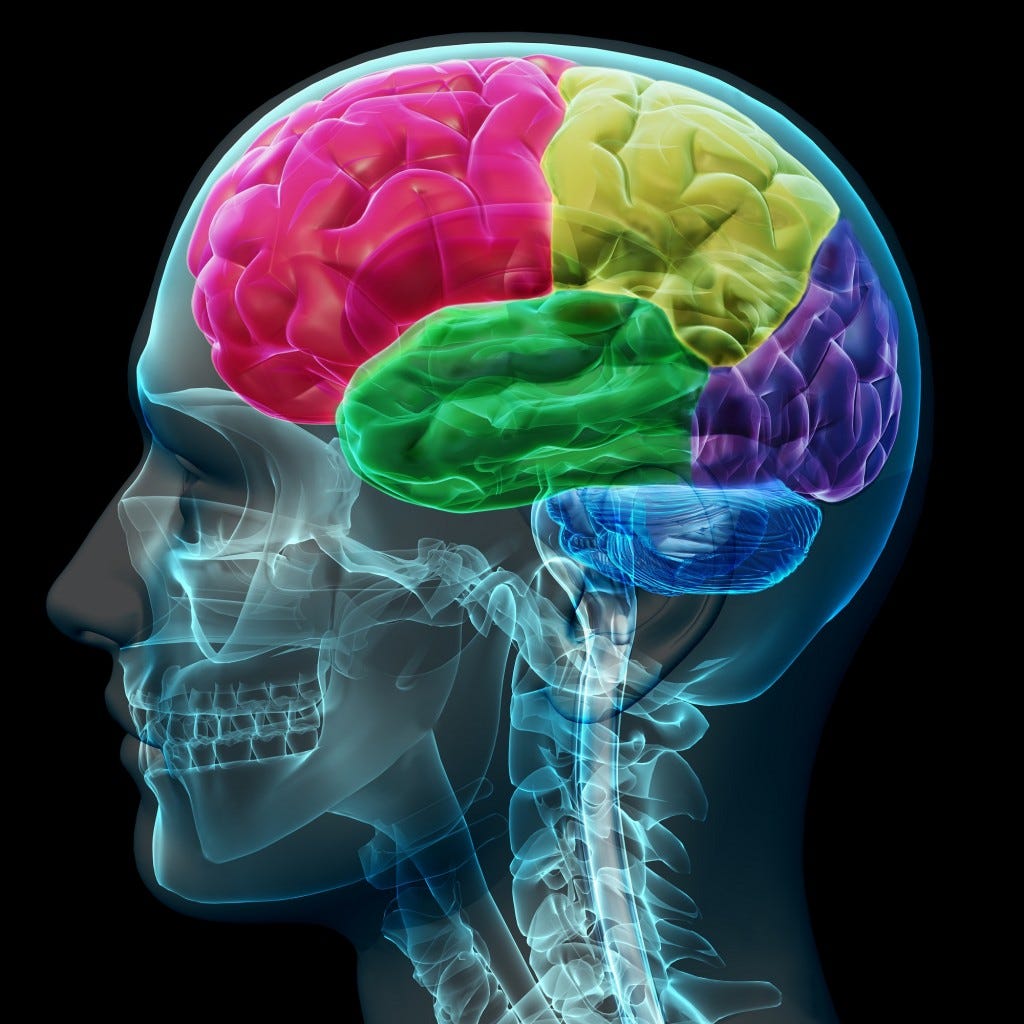 Tales from Both Sides of the Brain episode artwork