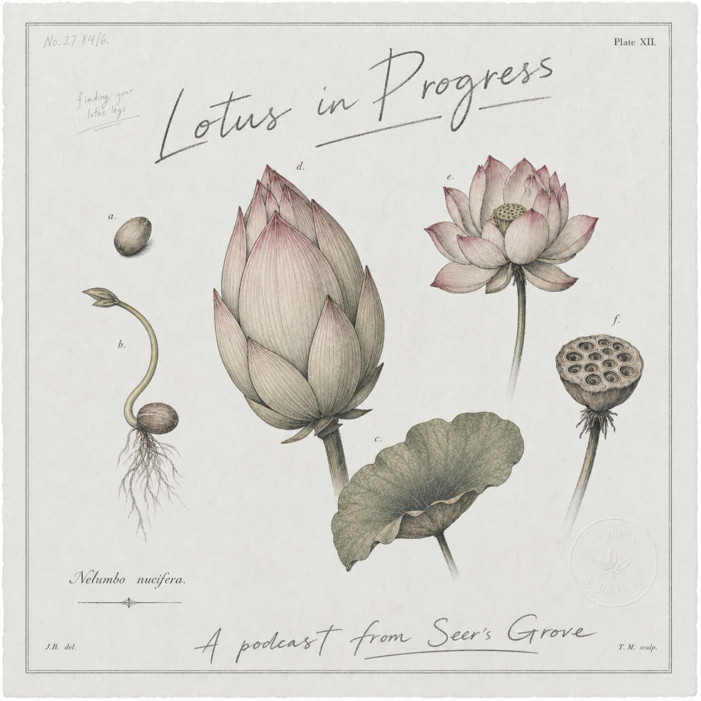 Lotus in Progress podcast artwork