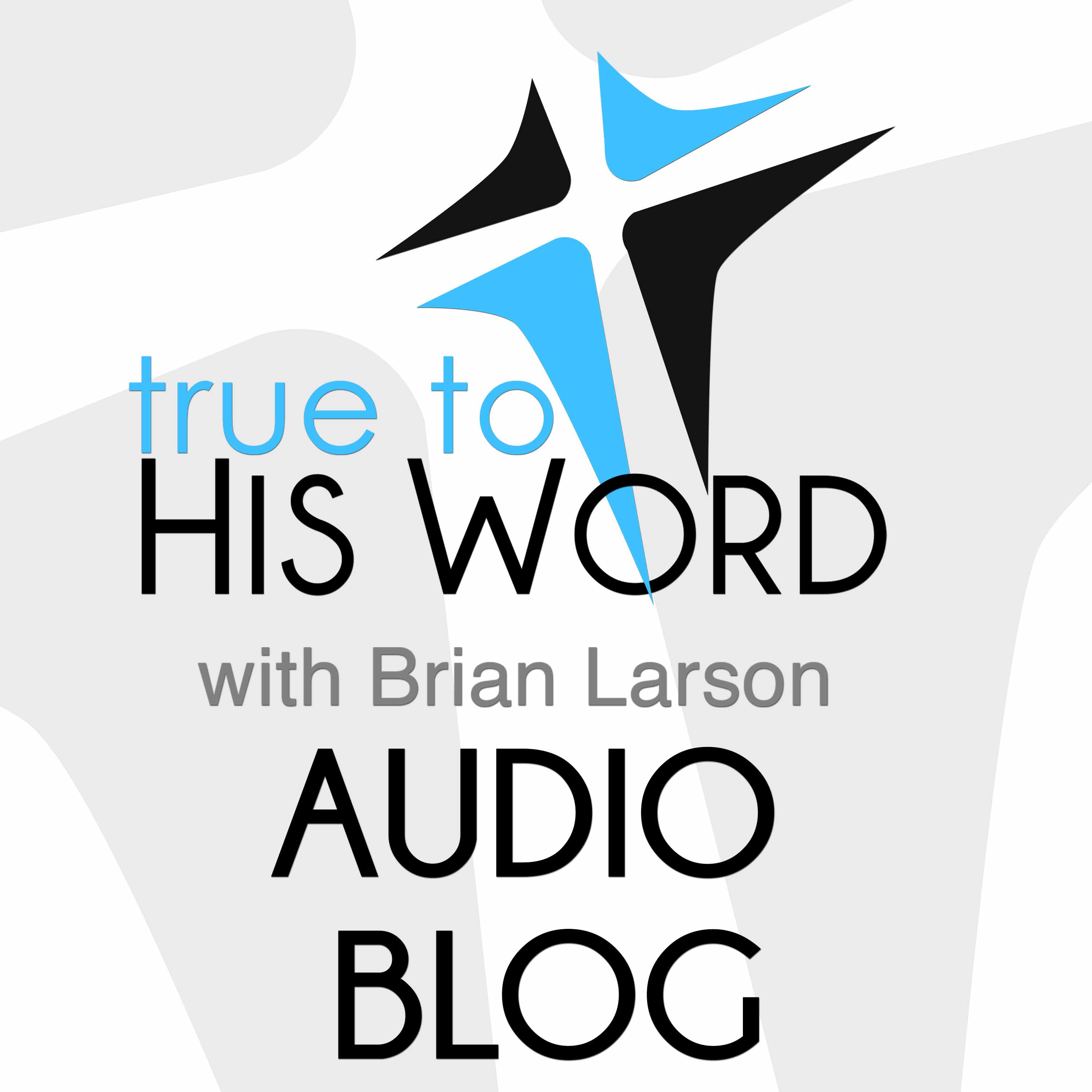 True to His Word Audio Blog • Brian Larson podcast artwork
