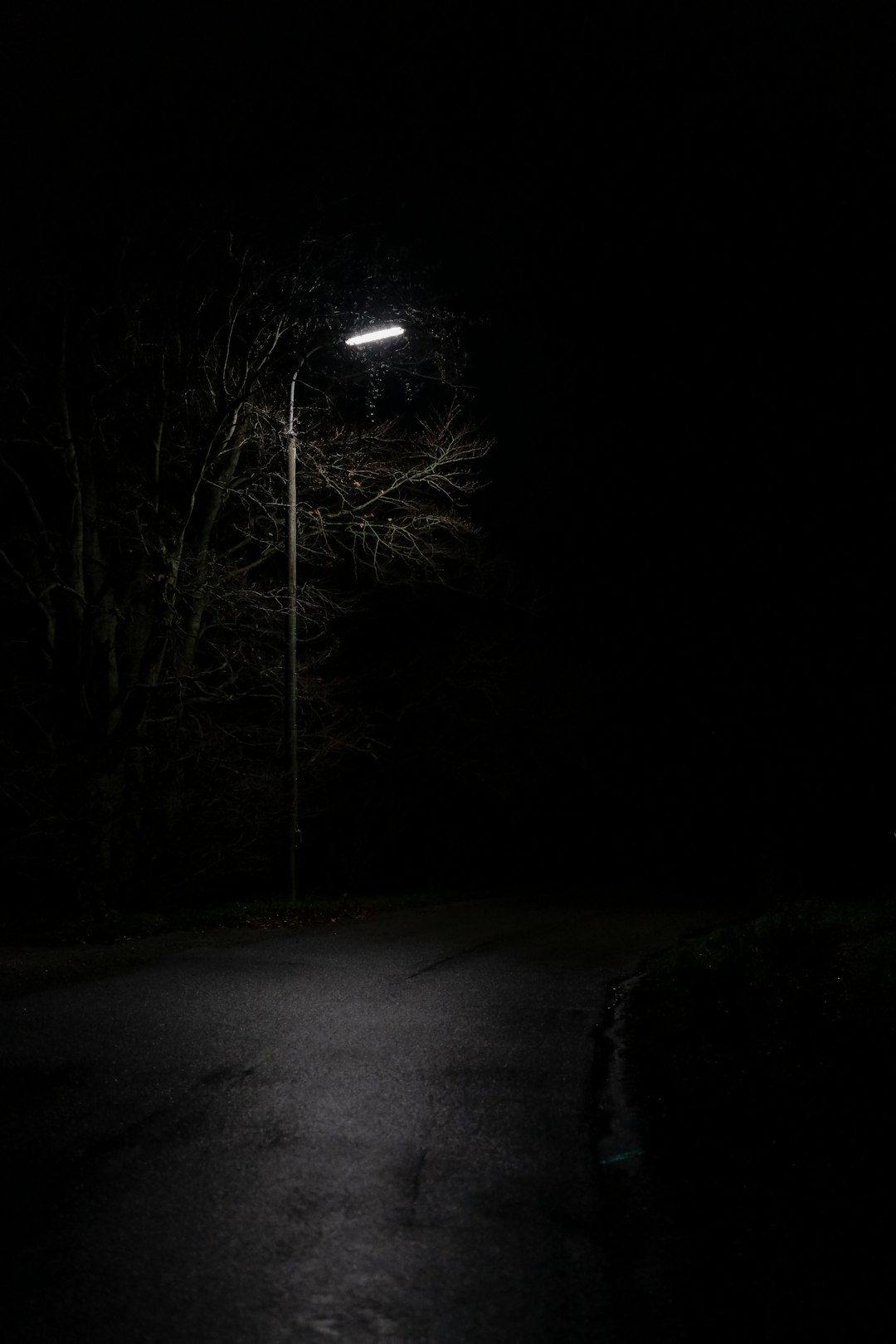 The Alarm in the Night
