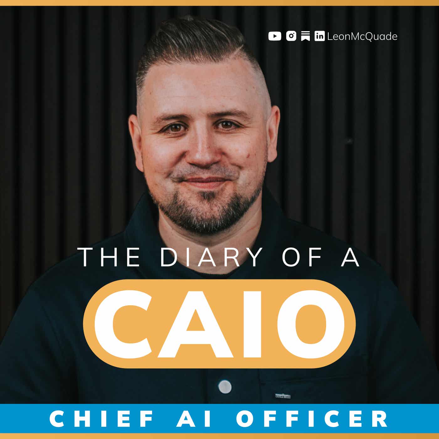 Diary Of A Chief AI Officer Podcast