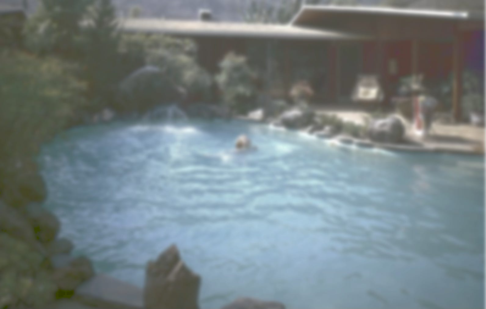 The Swimmer by John Cheever The Swimmer by John Cheever