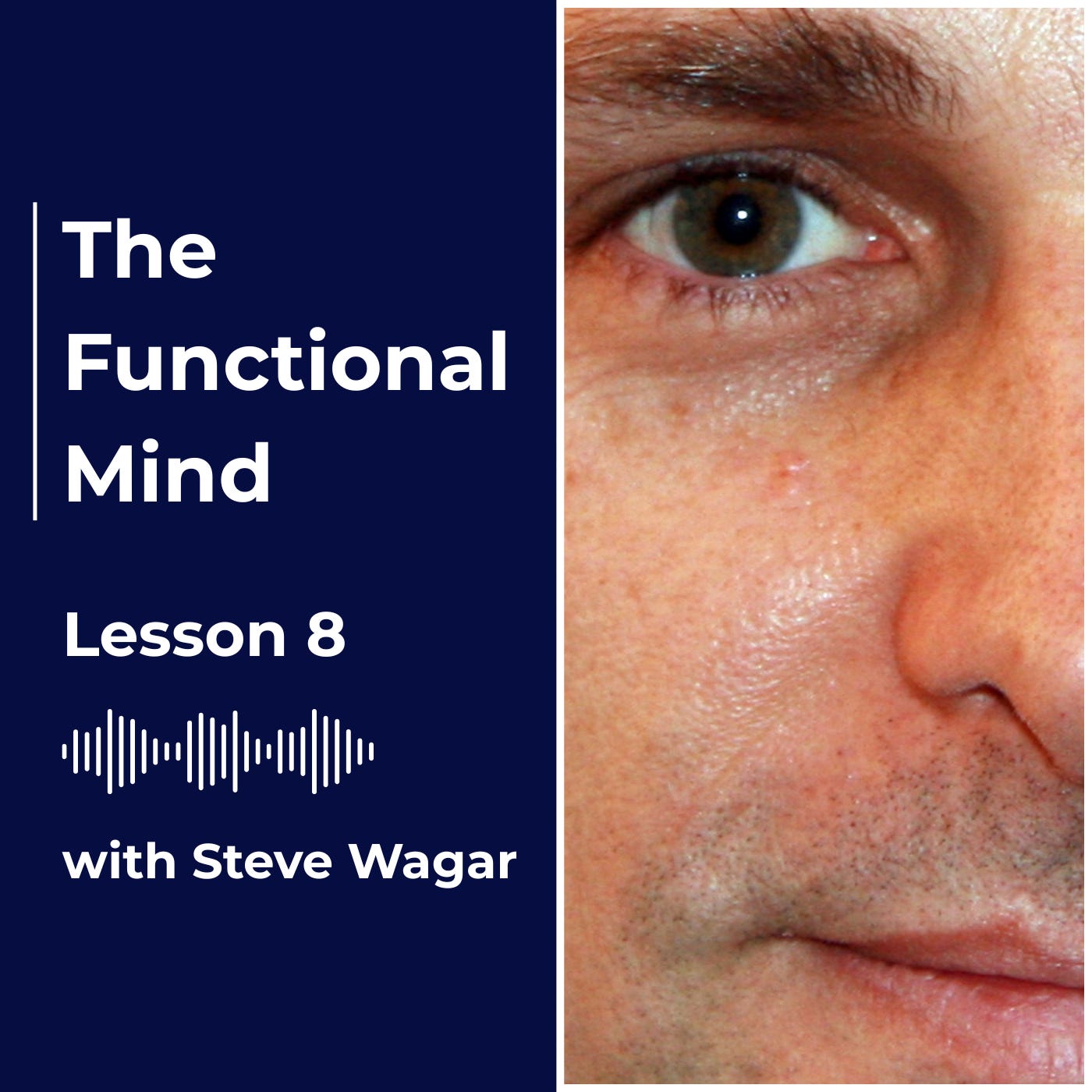 Artwork for The Functional Mind