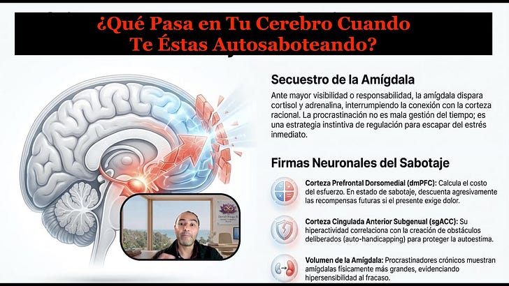 La Neurobiología Oculta del Autosabotaje ¿Por qué tu Cerebro Bloquea tu Éxito?
