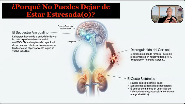 ¿Intuición o Trauma? Por qué tu Cerebro Confunde el Miedo con el “Instinto”