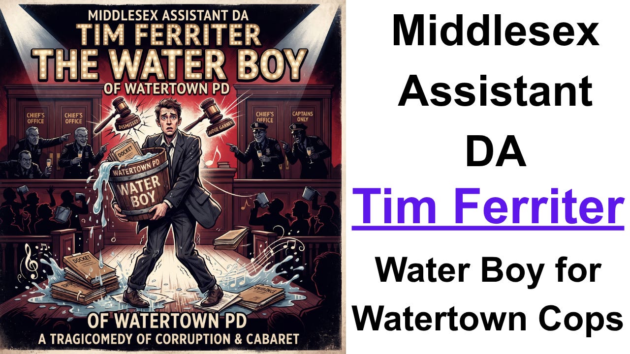 Middlesex Assistant DA Tim Ferriter - Waterboy episode artwork
