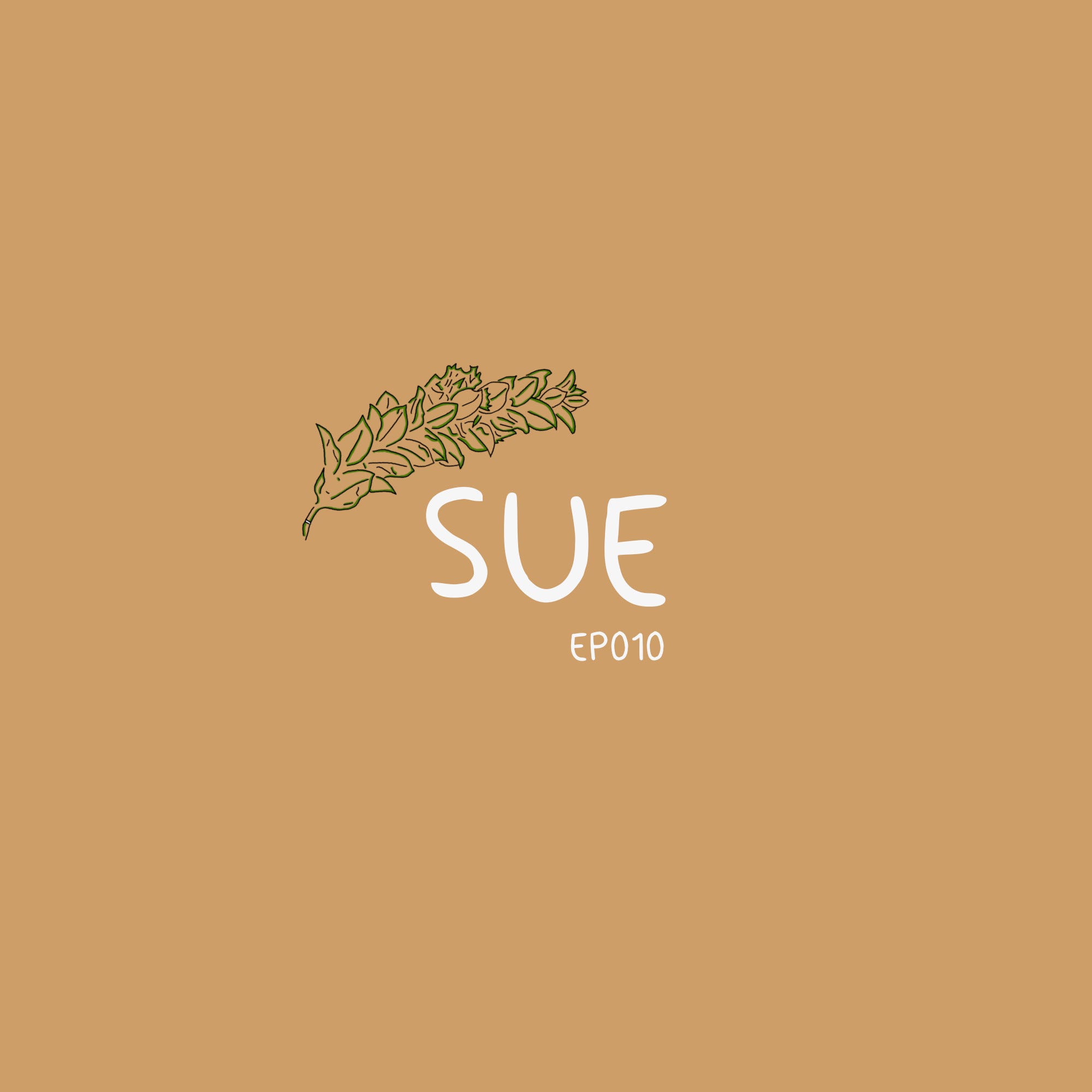 EP010 - Sue episode artwork