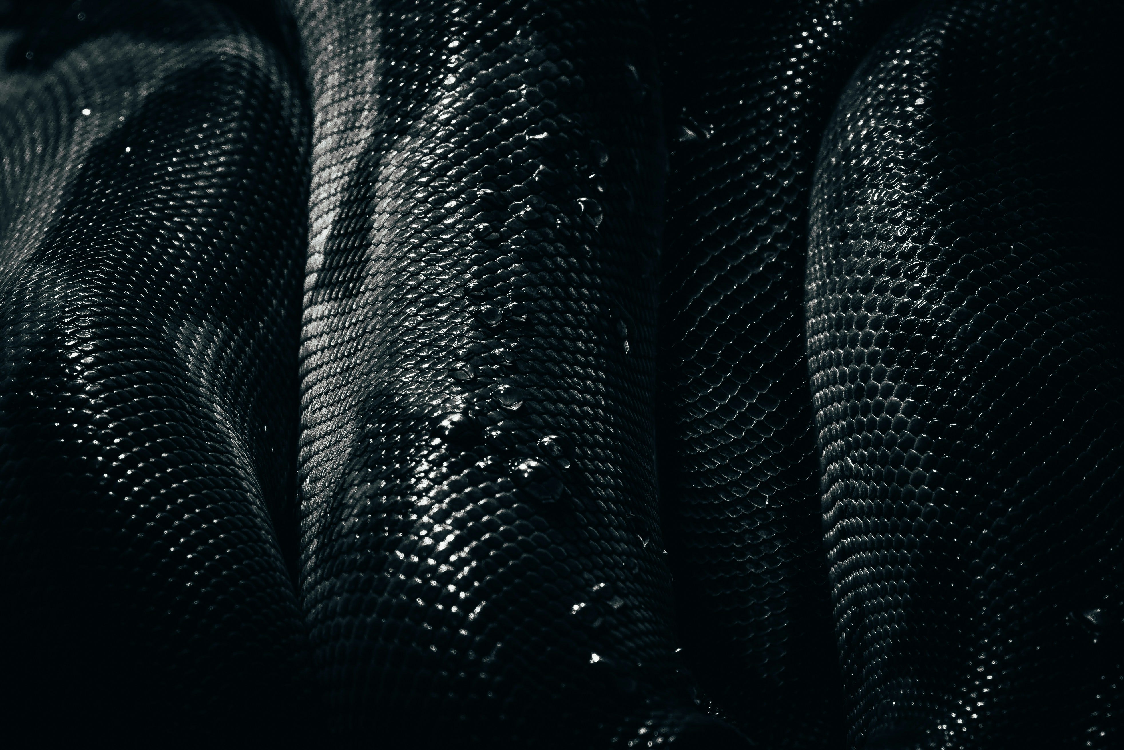 Jewels Don't Forget. They Scar. episode artwork