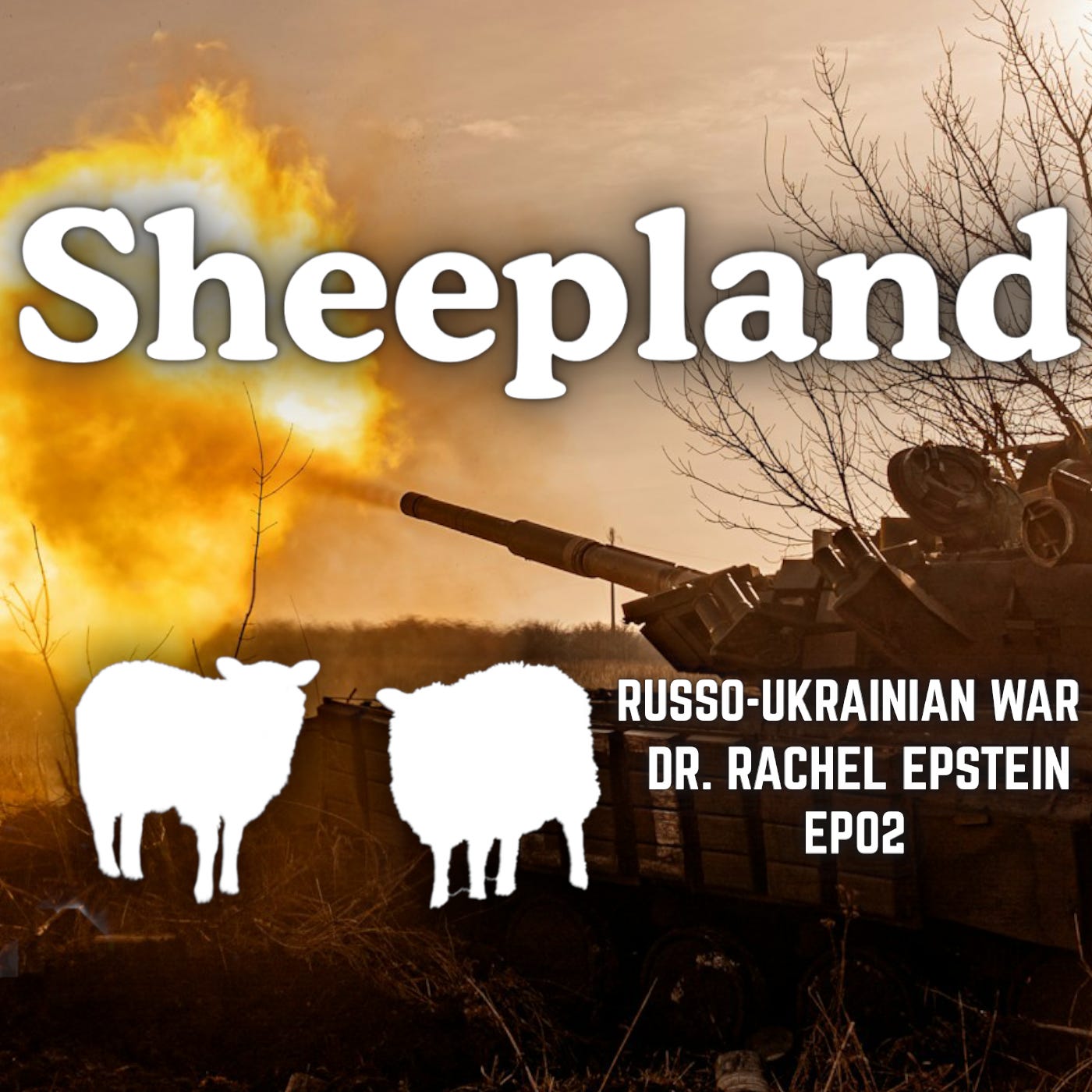 EP02 — Russo-Ukrainian War | Dr. Rachel Epstein episode artwork