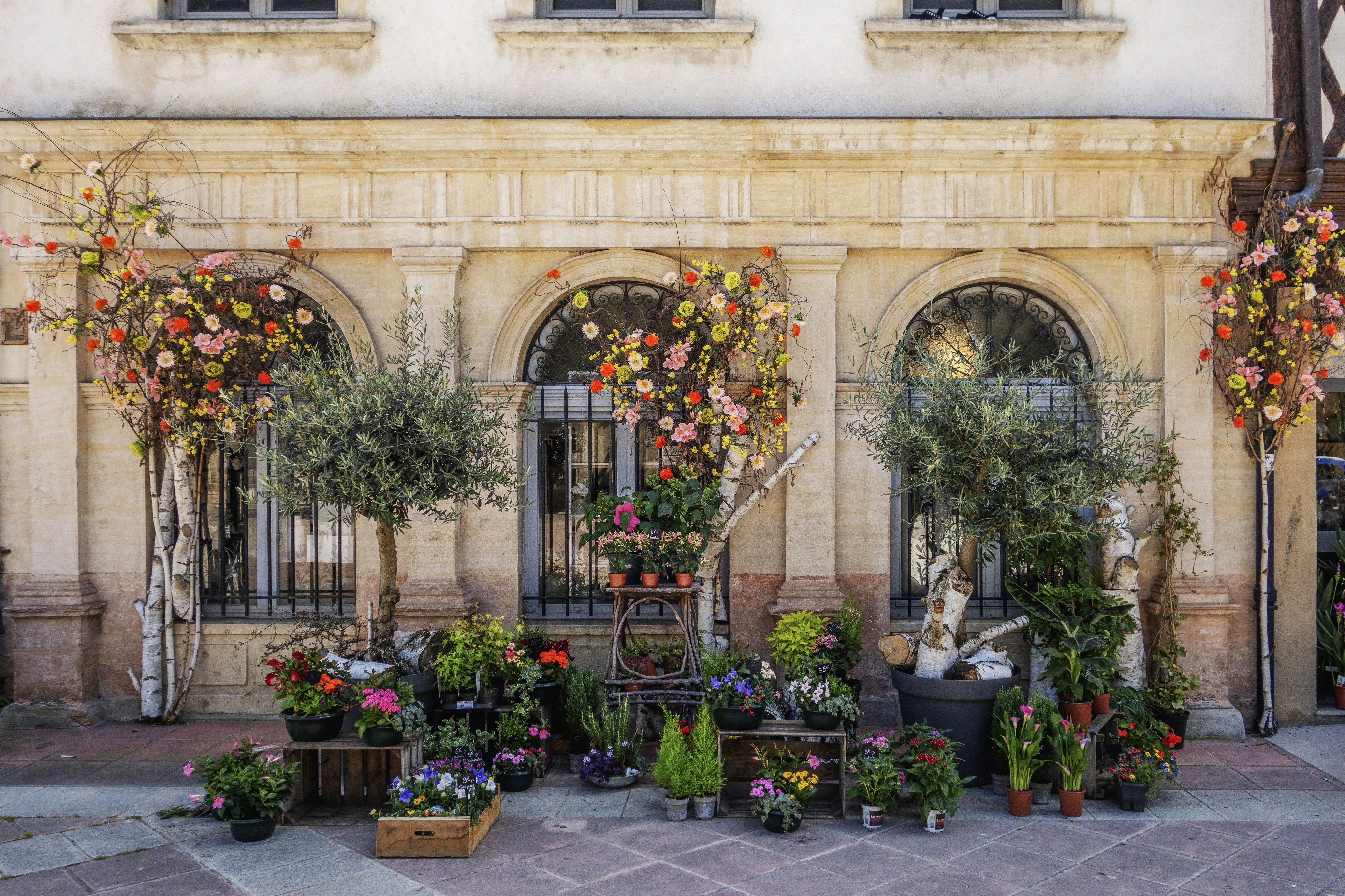 Joy Ambition with Emma Lavelle