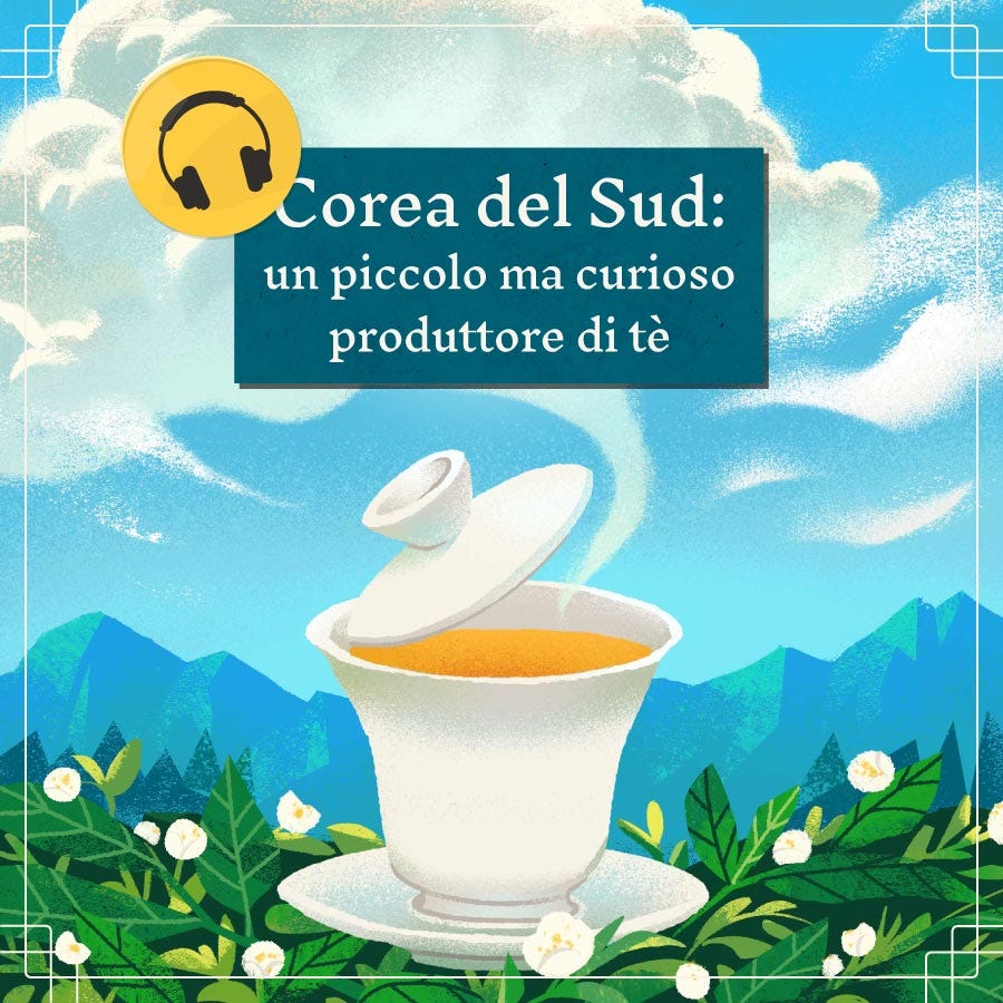 Corea del Sud: un piccolo, curioso produttore di tè 🎧