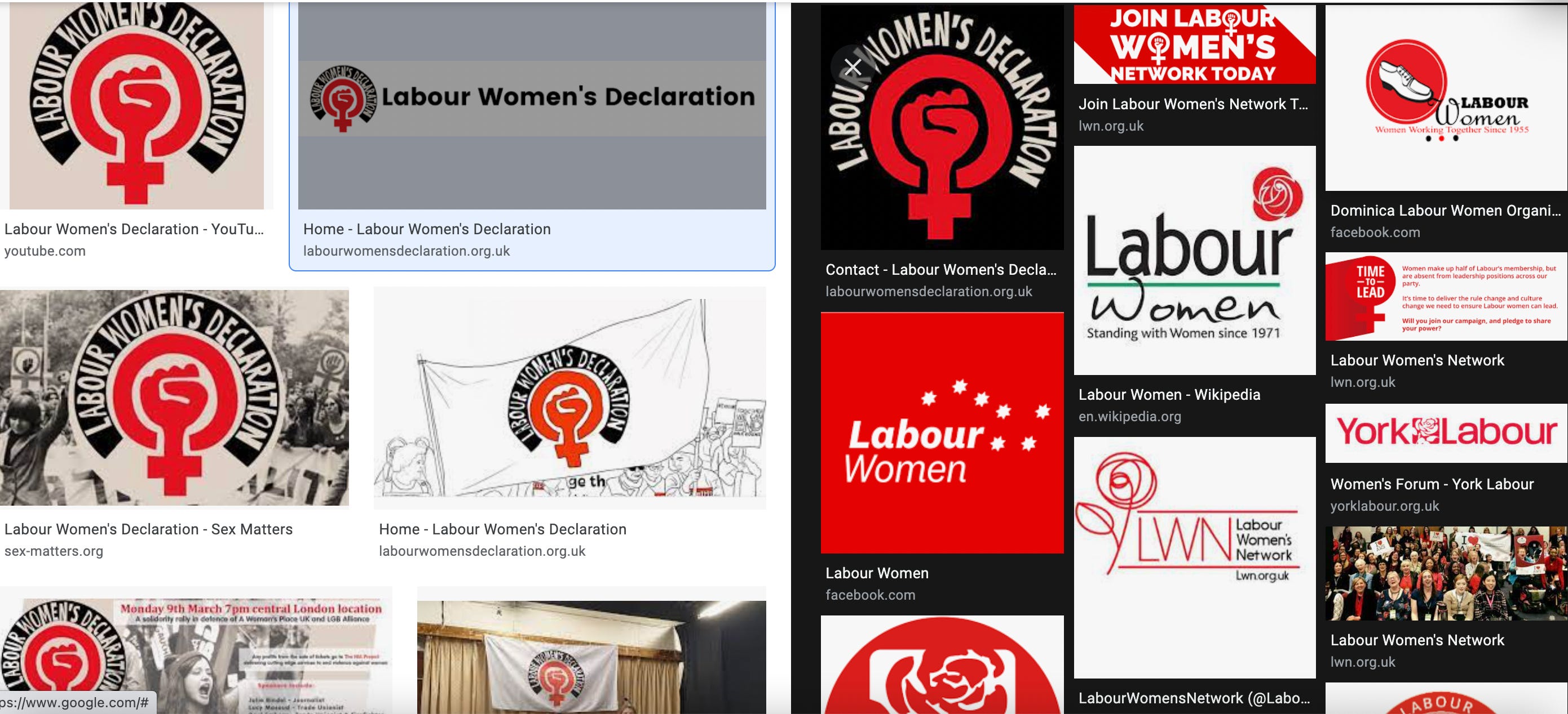 Labour Women's Declaration