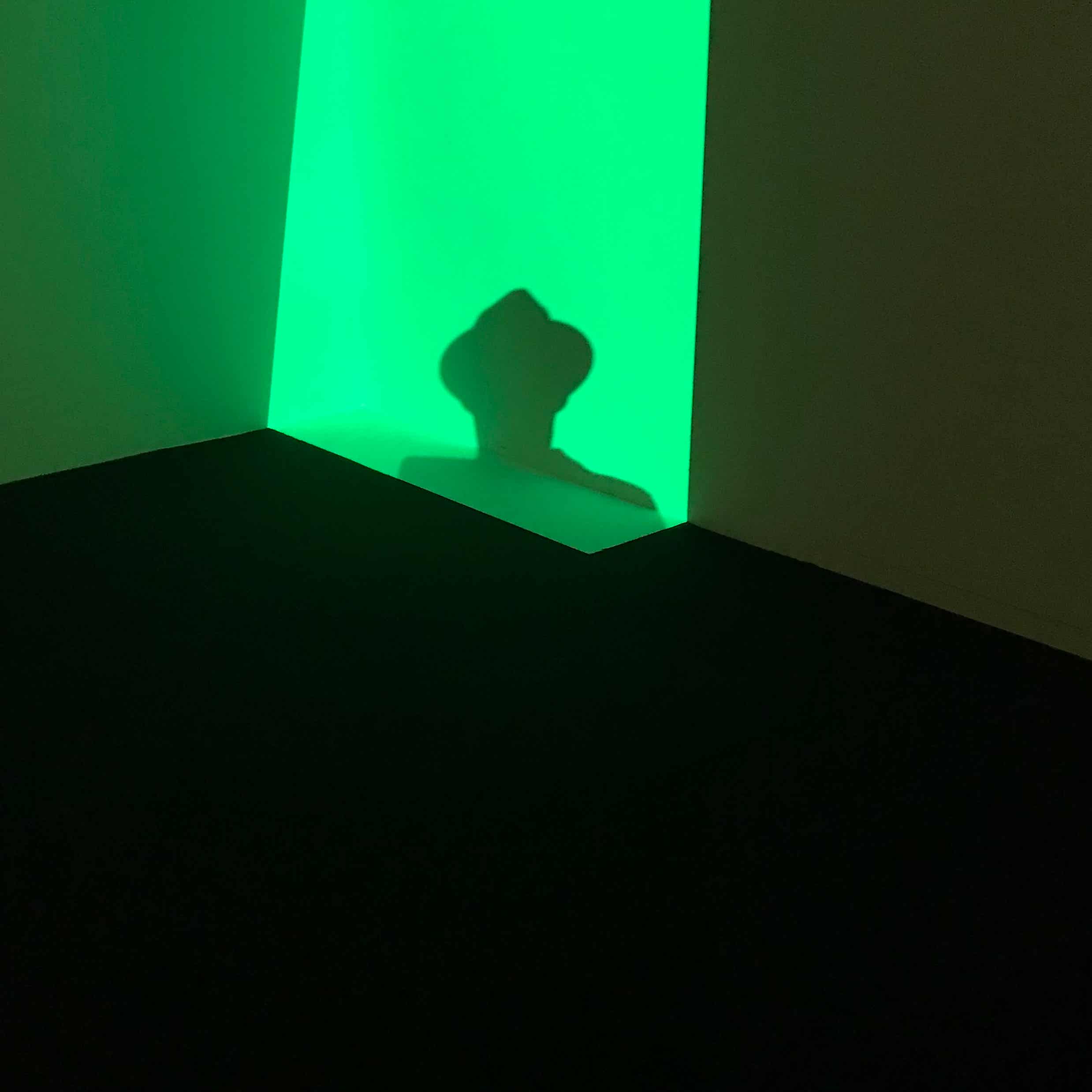 Anatomy of a Dive cover art