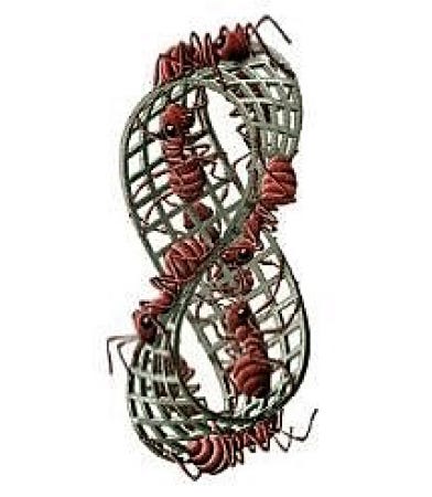 Lectures on Lacan Podcast