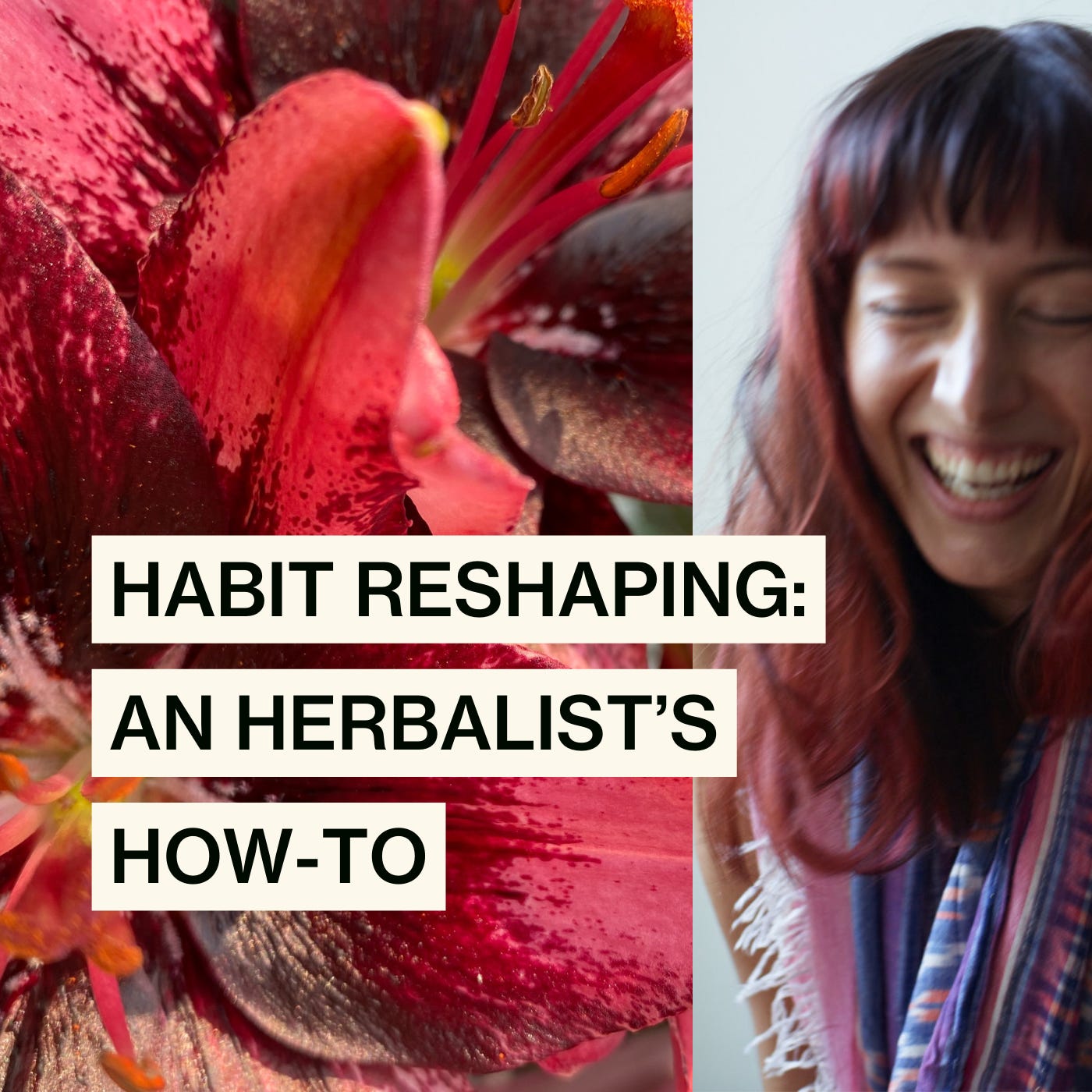 Habit Reshaping: An Herbalist's How-To (Video Episode) episode artwork