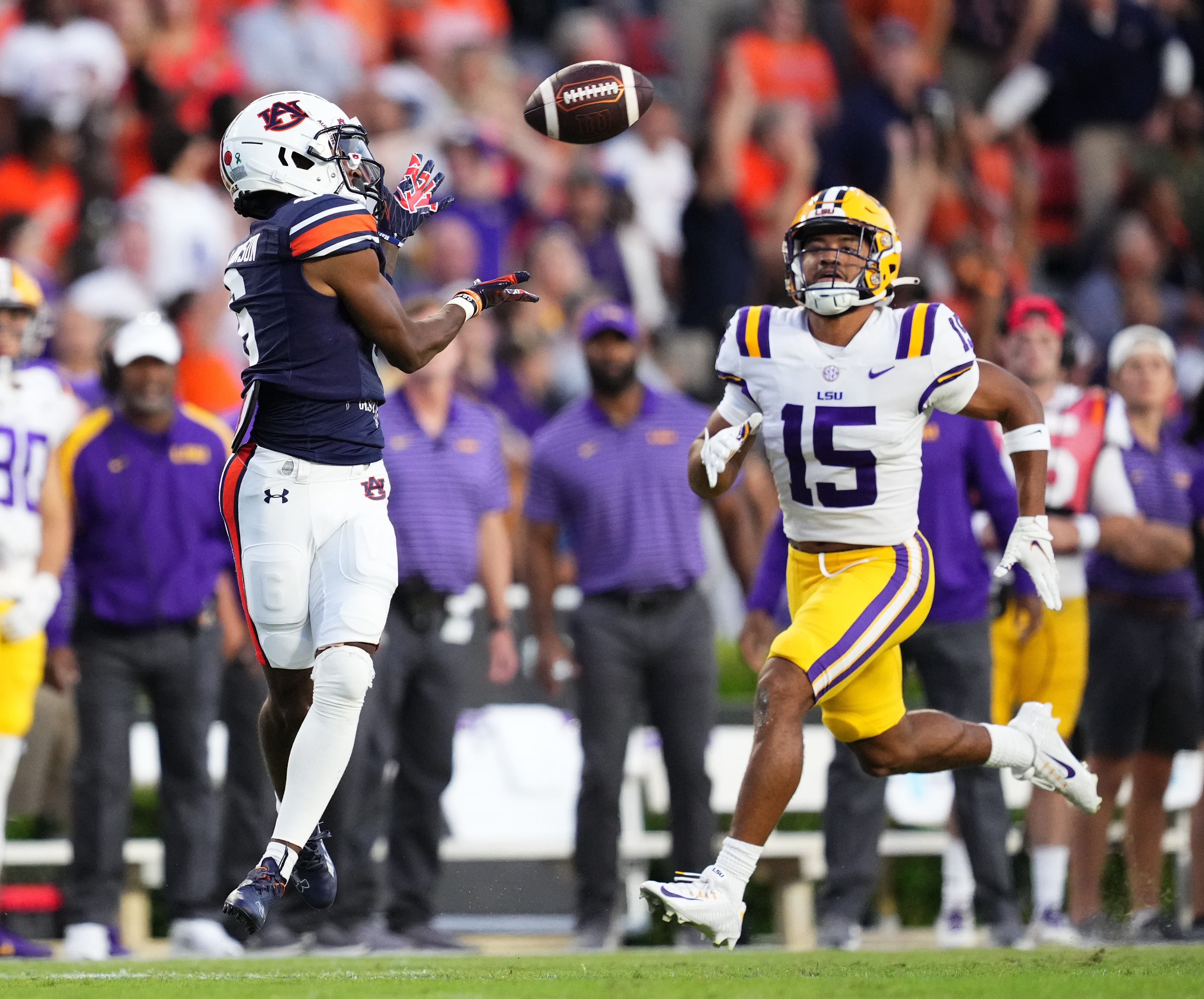 The Auburn Observer